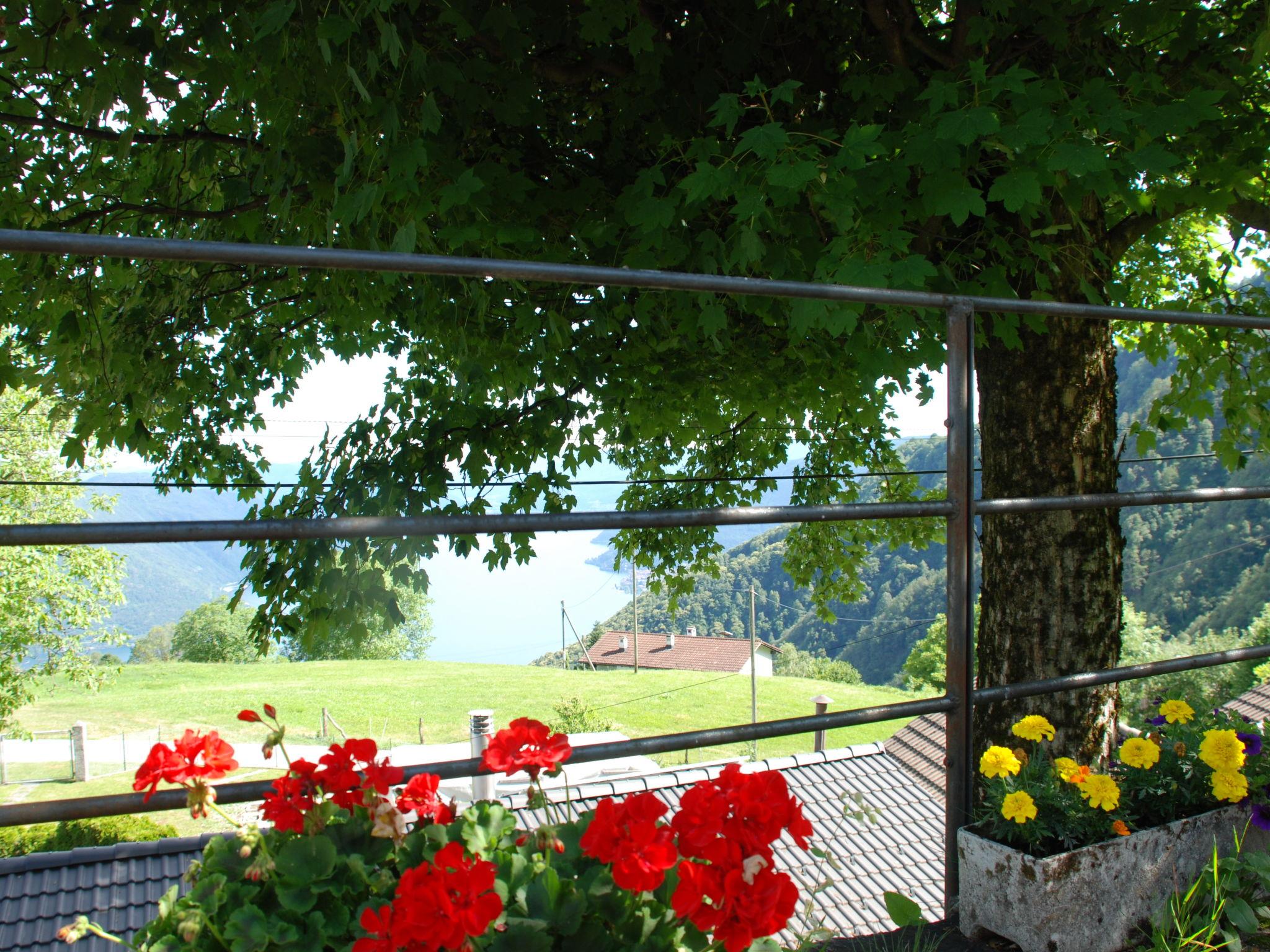 Photo 26 - Maison de 1 chambre à Brissago avec jardin et vues sur la montagne