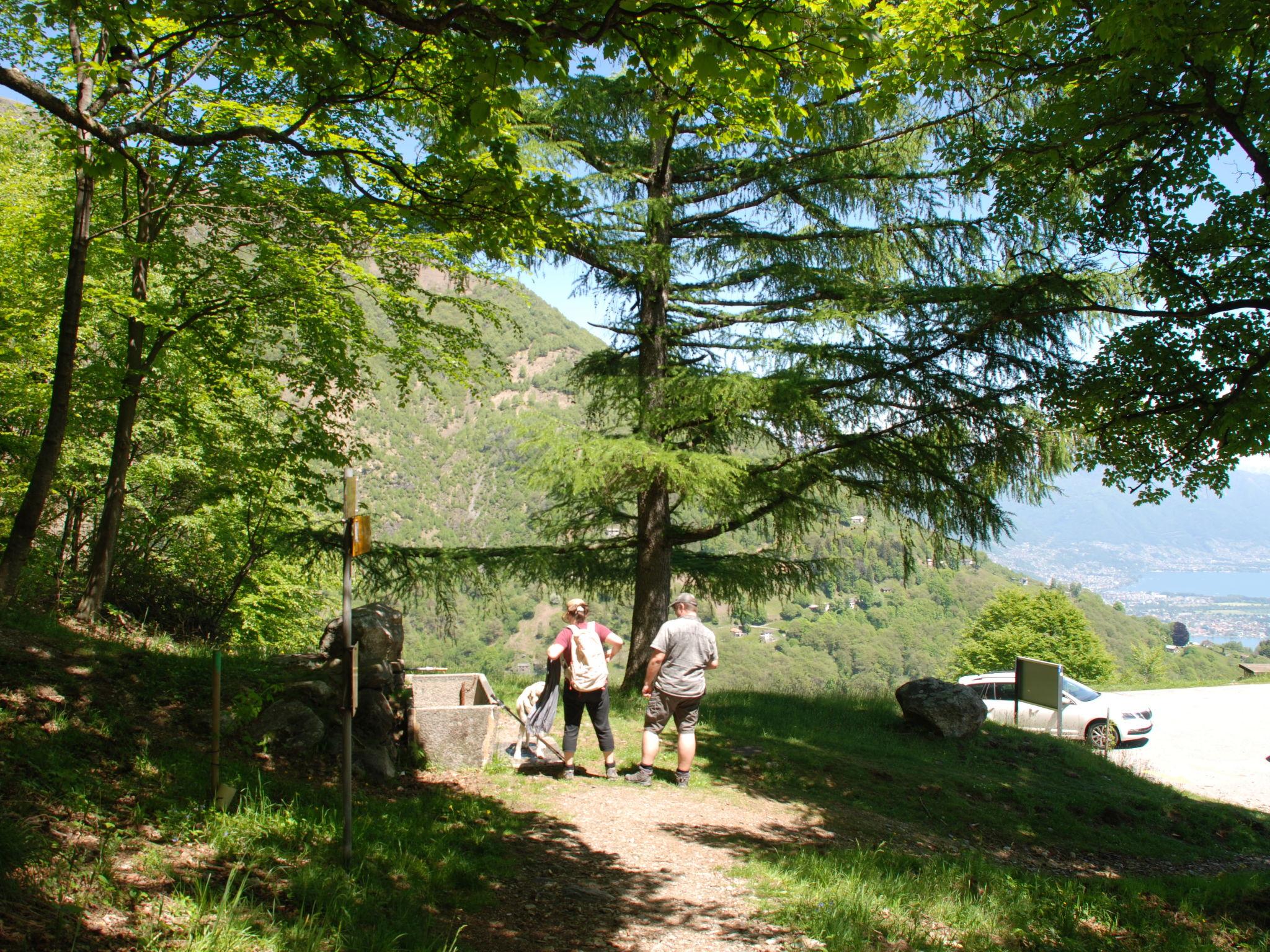 Photo 34 - Maison de 1 chambre à Brissago avec jardin et vues sur la montagne