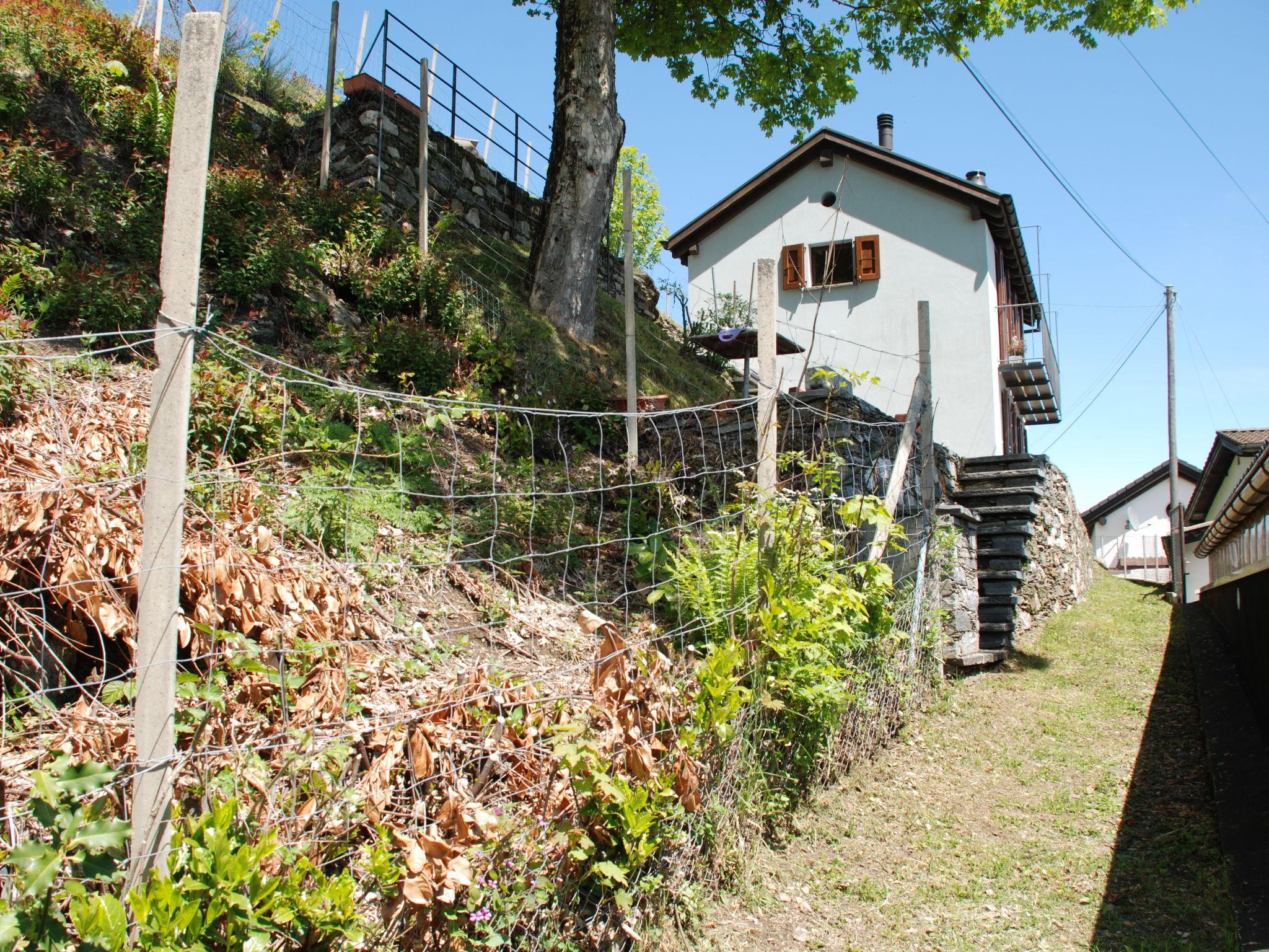 Photo 29 - Maison de 1 chambre à Brissago avec jardin