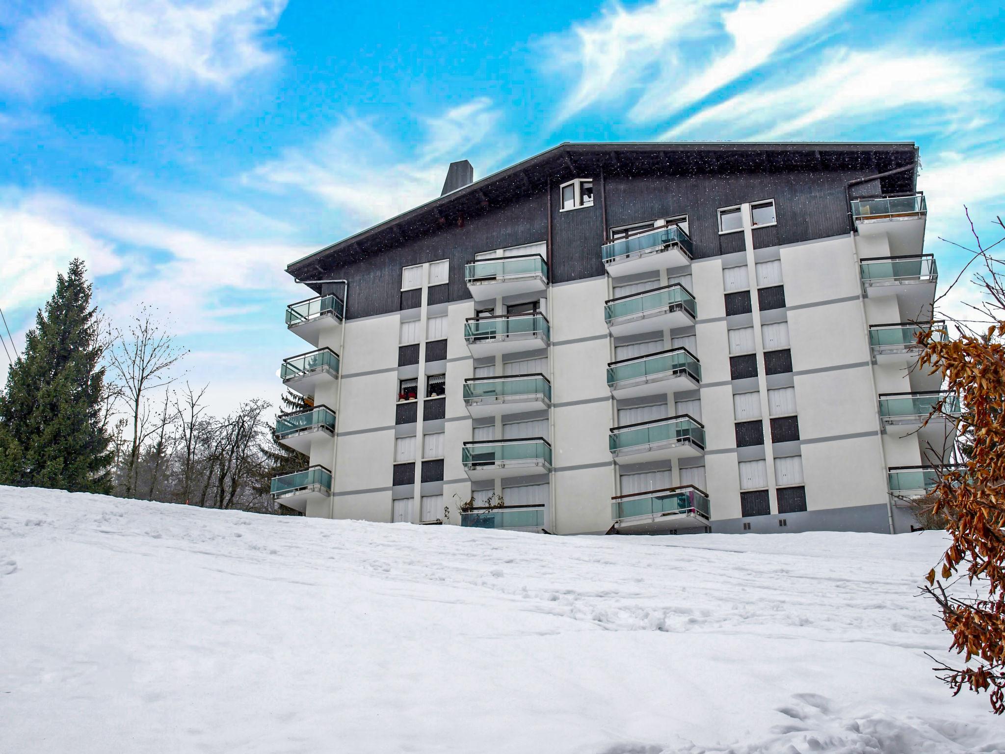 Foto 15 - Apartamento de 1 habitación en Saint-Gervais-les-Bains con vistas a la montaña