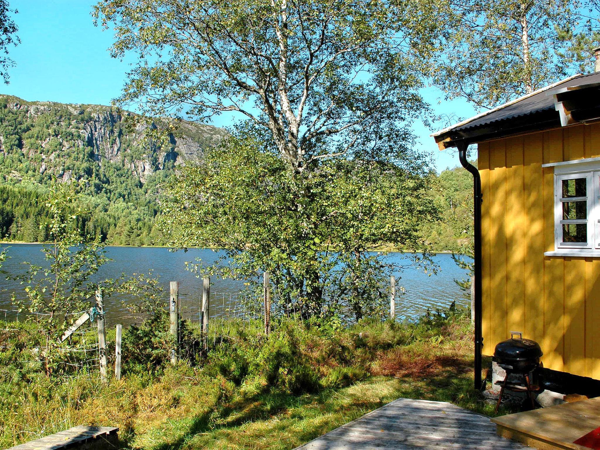 Photo 16 - Maison de 2 chambres à Åseral avec jardin et terrasse