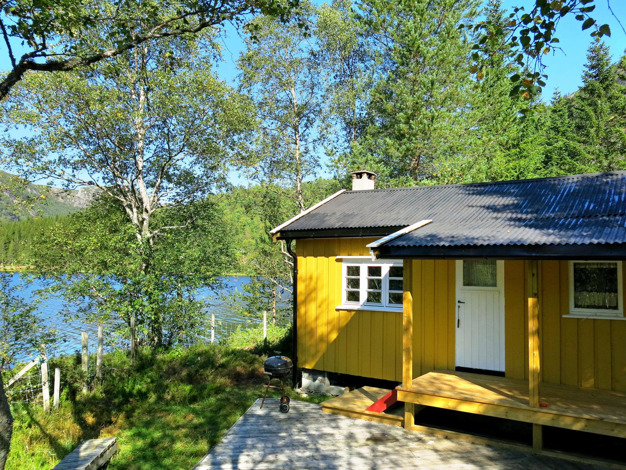 Photo 2 - Maison de 2 chambres à Åseral avec jardin et terrasse