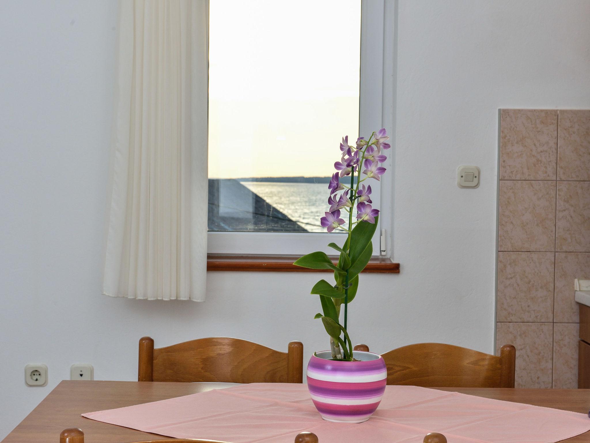 Photo 9 - 1 bedroom Apartment in Privlaka with swimming pool and sea view