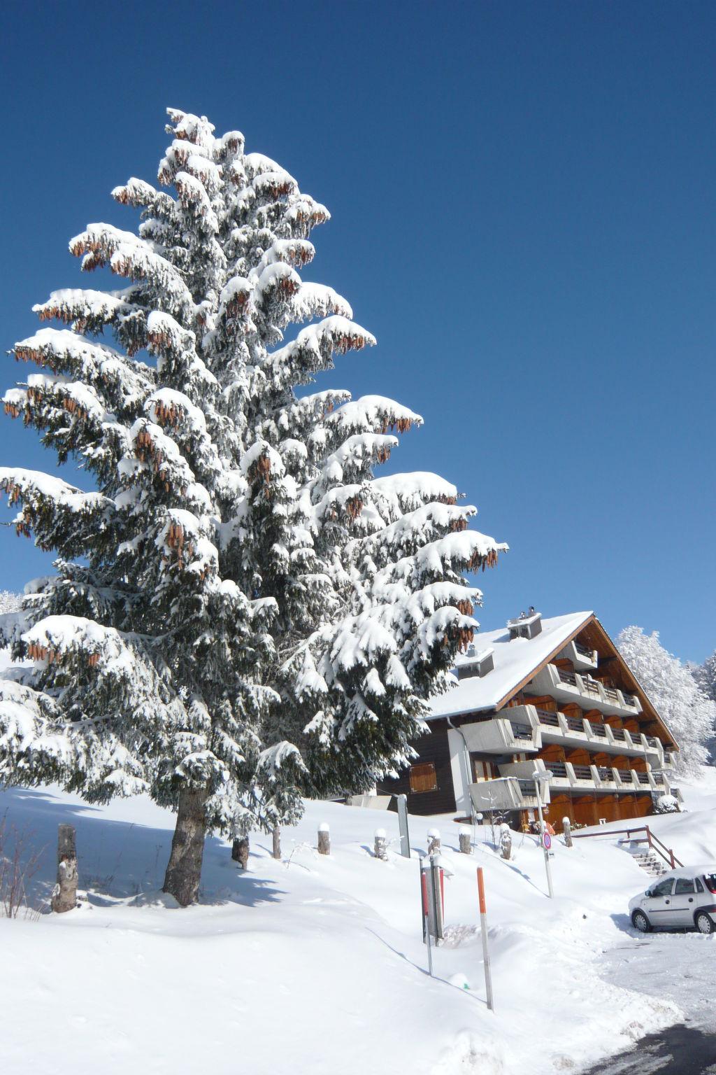 Photo 16 - Apartment in Sainte-Croix with garden and mountain view