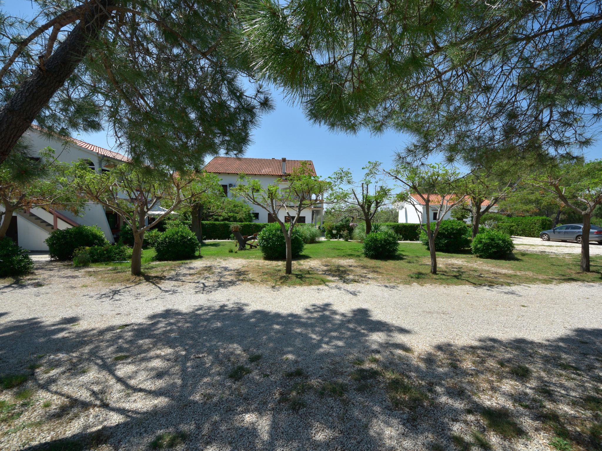 Photo 14 - 2 bedroom Apartment in Vir with swimming pool and sea view