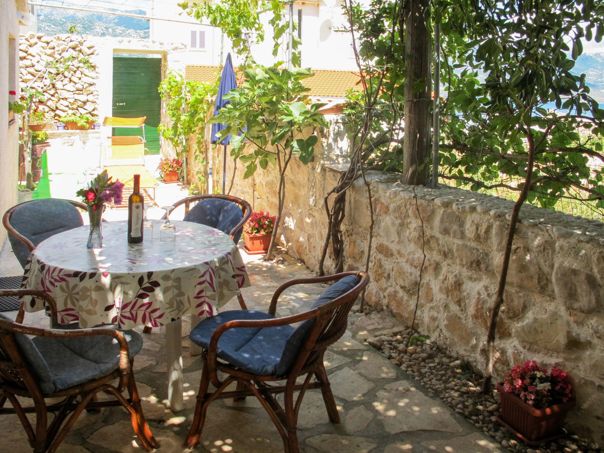 Photo 2 - Appartement de 1 chambre à Posedarje avec jardin et terrasse