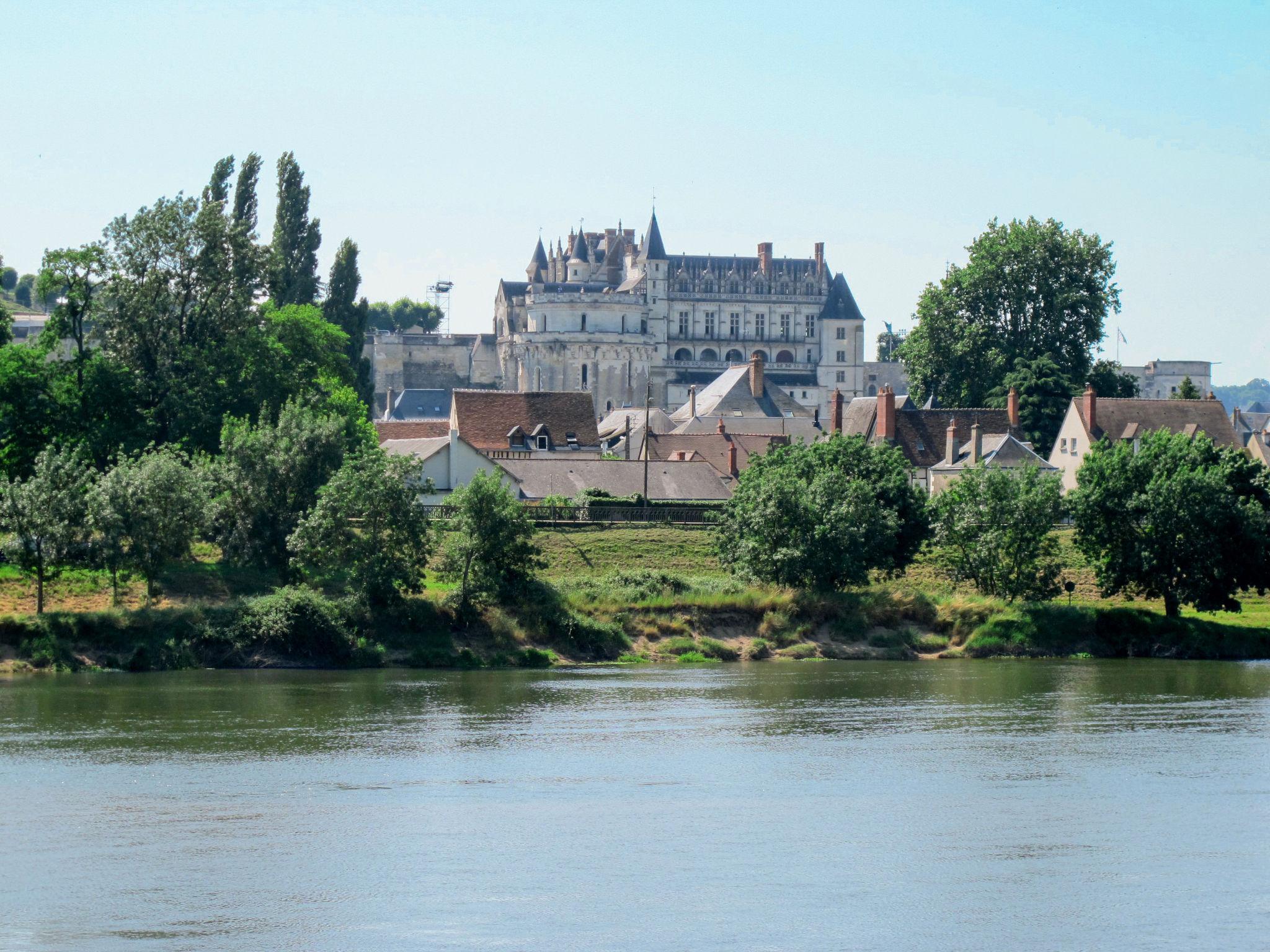 Photo 26 - Maison de 3 chambres à Azay-le-Rideau avec piscine et jardin