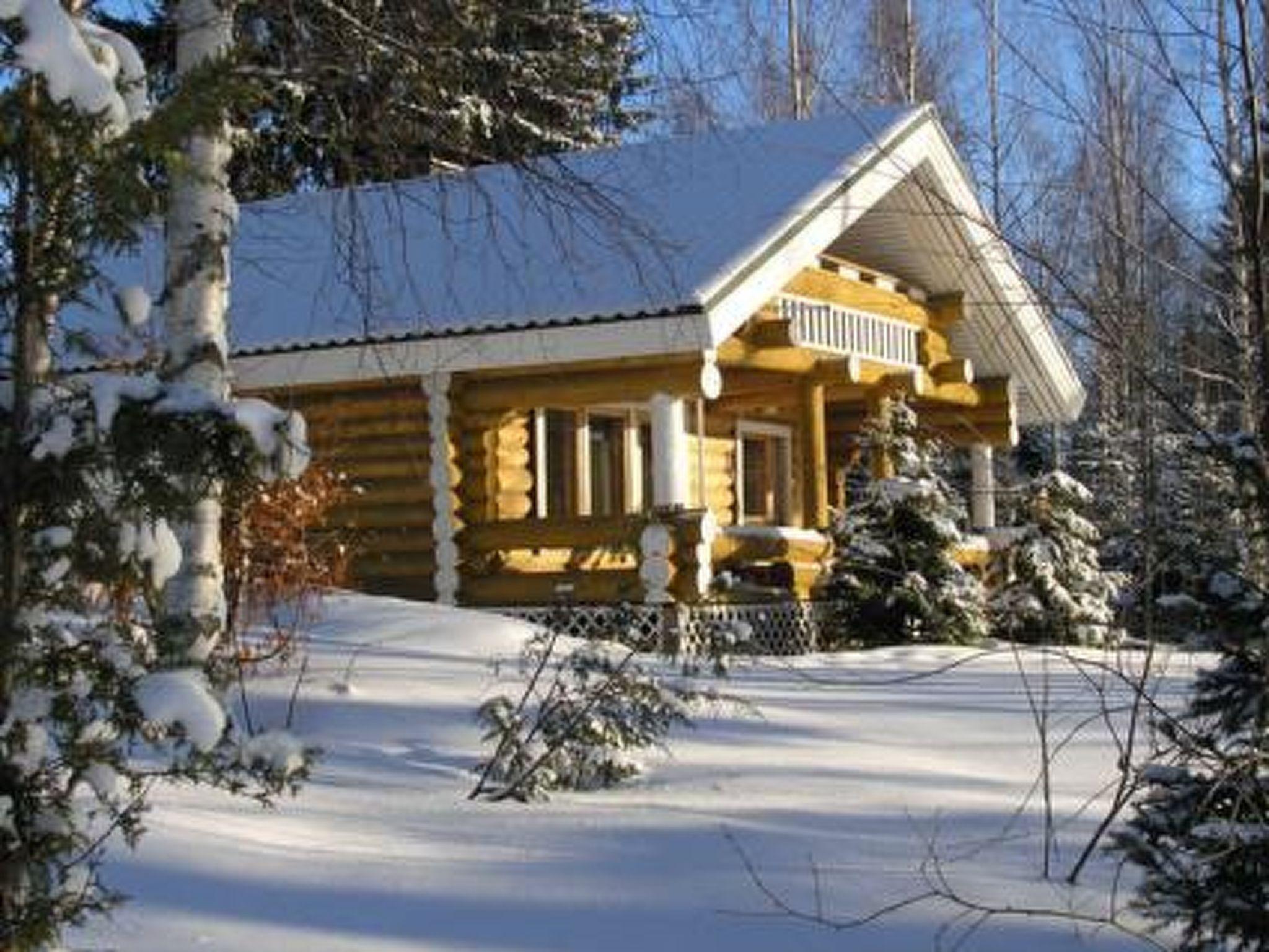 Photo 21 - Maison de 1 chambre à Lapinlahti avec sauna