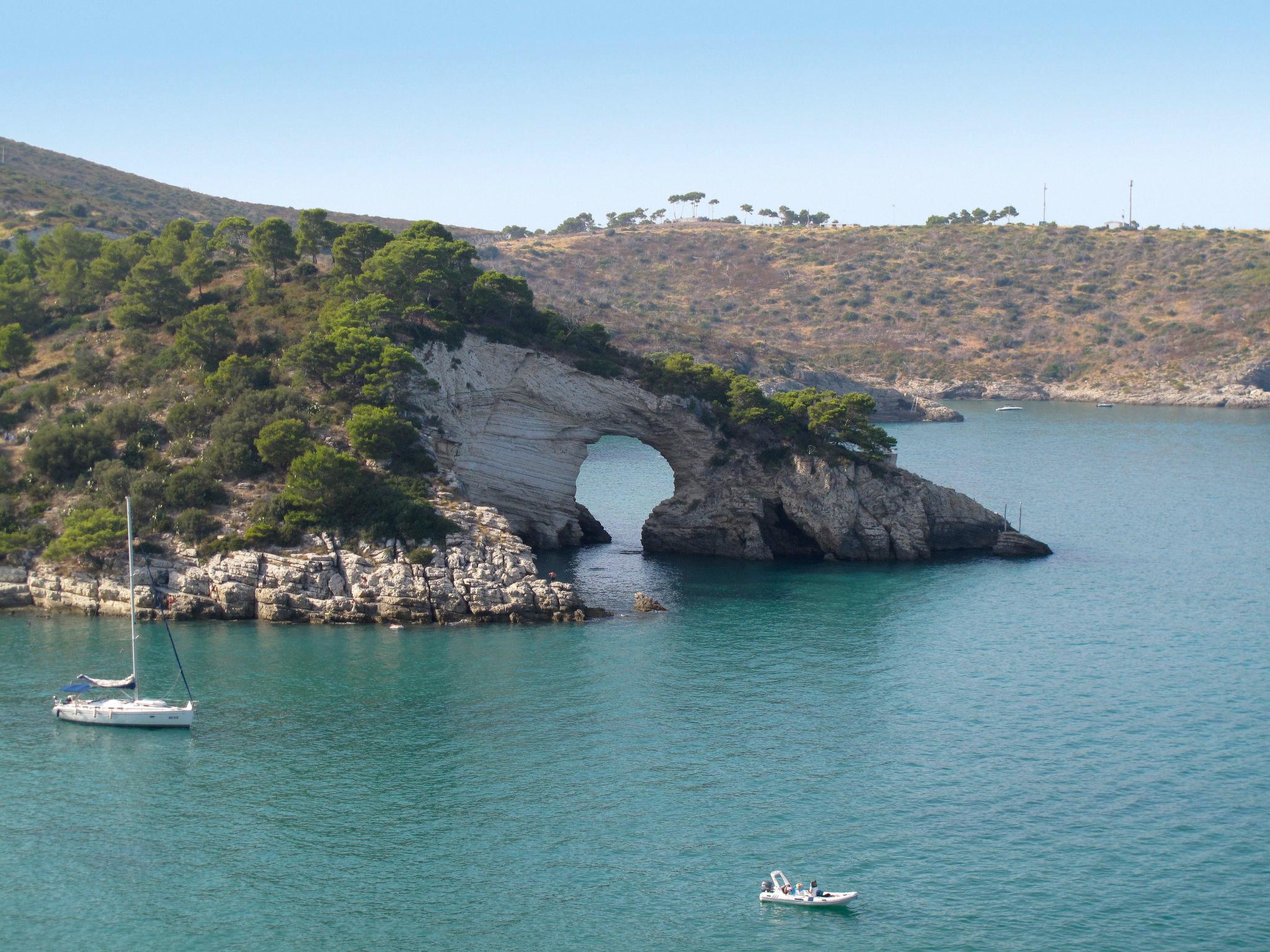 Photo 22 - Maison de 2 chambres à Vieste avec piscine et vues à la mer