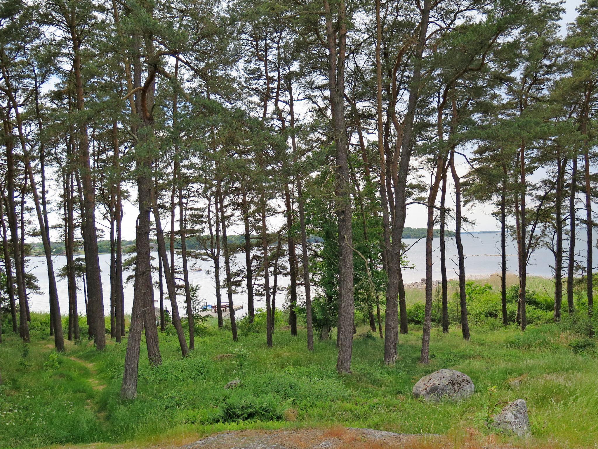 Photo 11 - Maison en Ramdala avec jardin et sauna