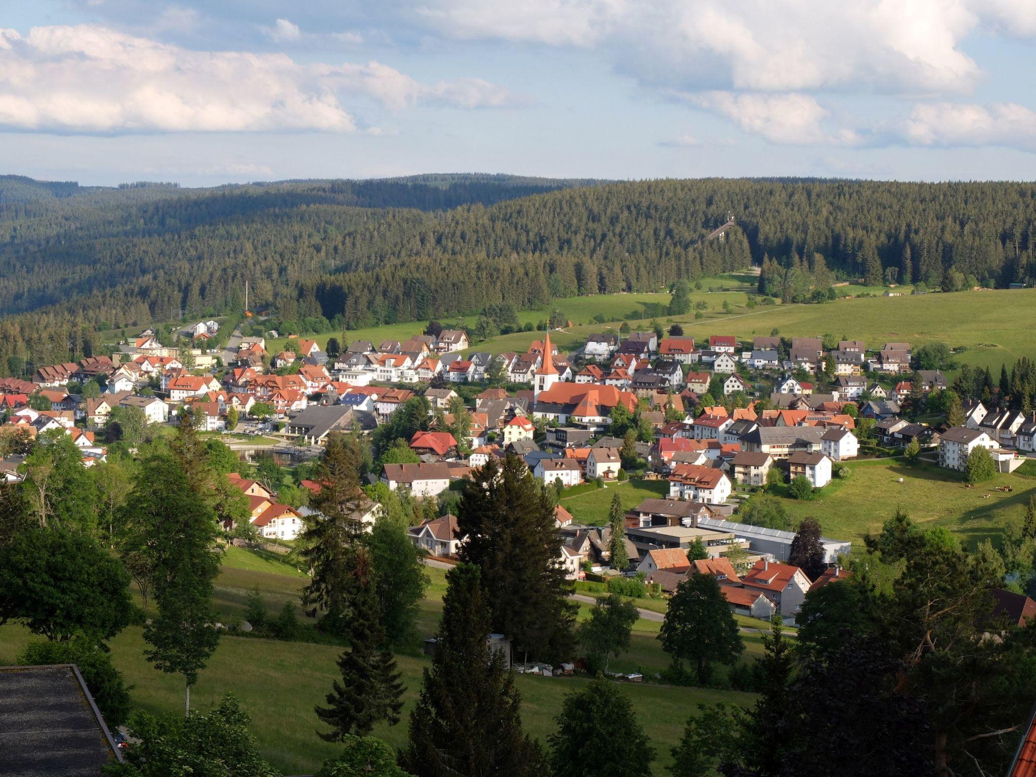 Photo 9 - Appartement de 1 chambre à Schonach im Schwarzwald avec vues sur la montagne