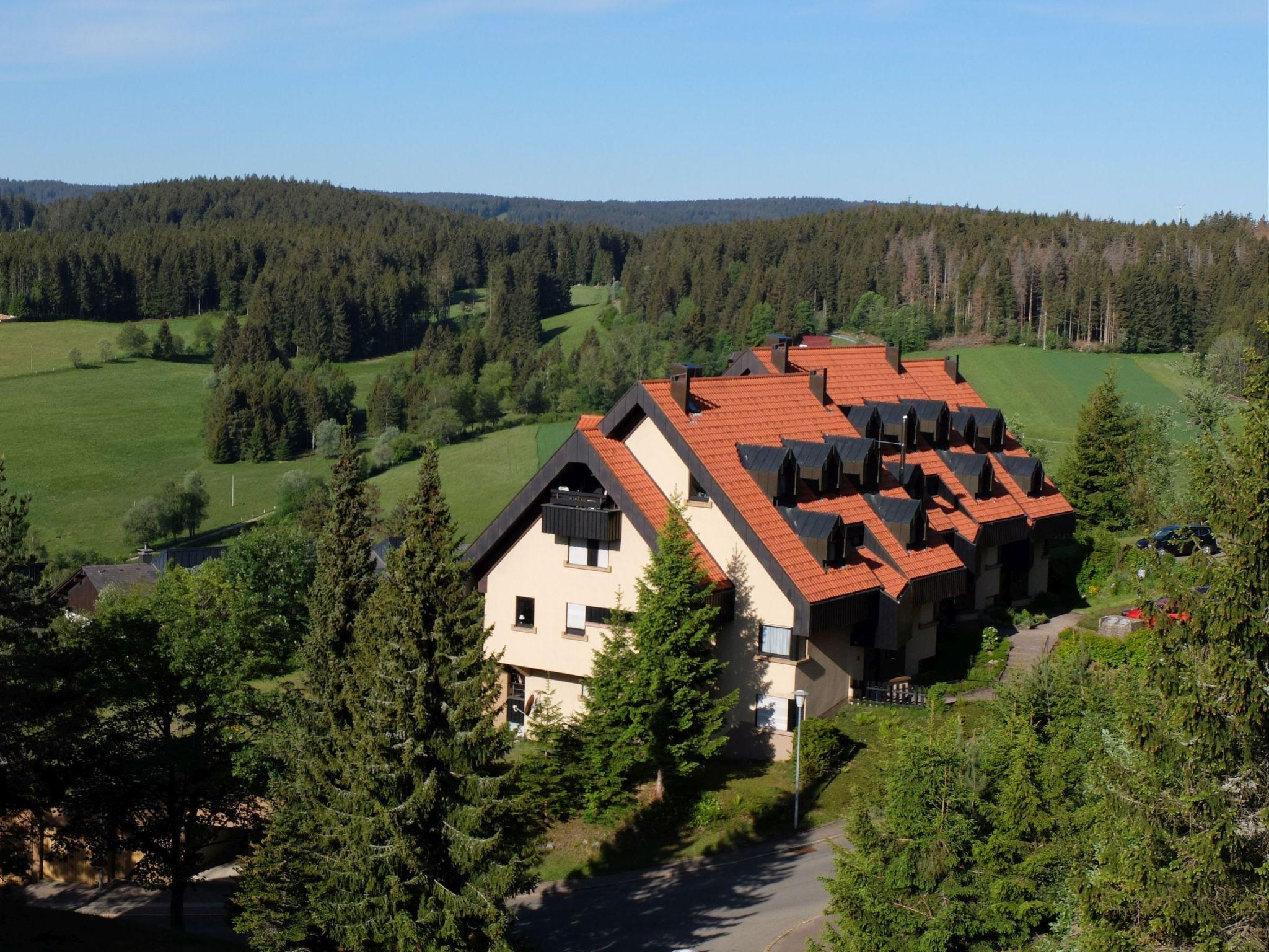 Foto 8 - Apartamento de 1 quarto em Schonach im Schwarzwald com jardim