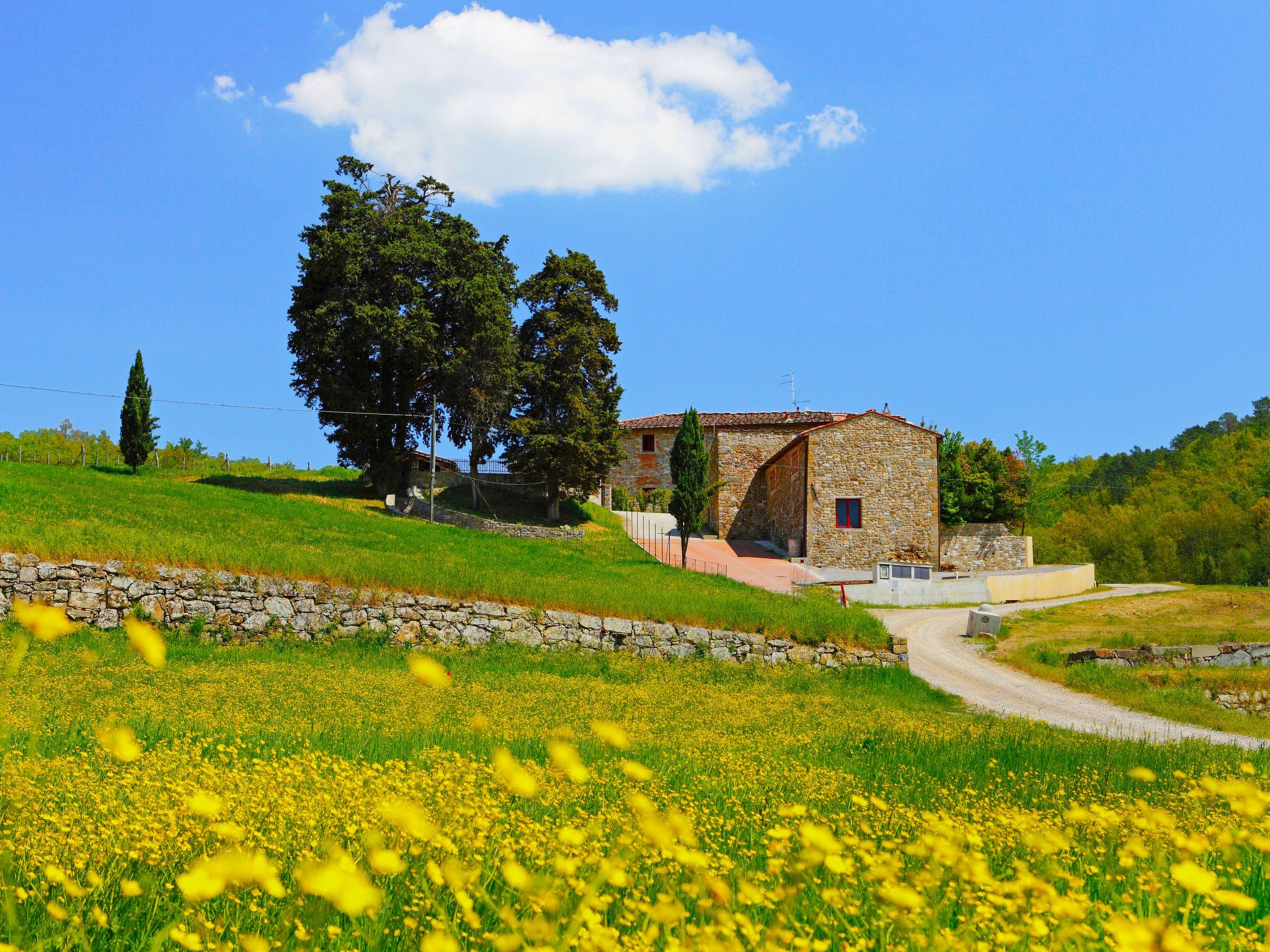 Photo 1 - Maison de 2 chambres à Greve in Chianti avec jardin