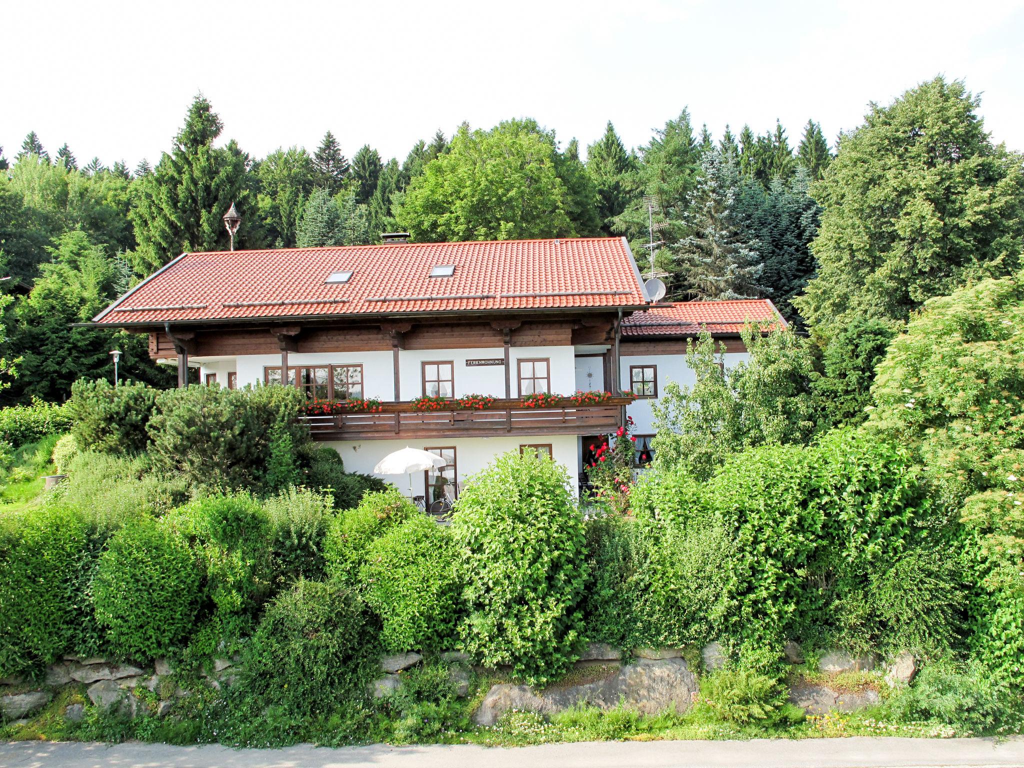 Foto 17 - Apartamento de 1 habitación en Bischofsmais con jardín y vistas a la montaña