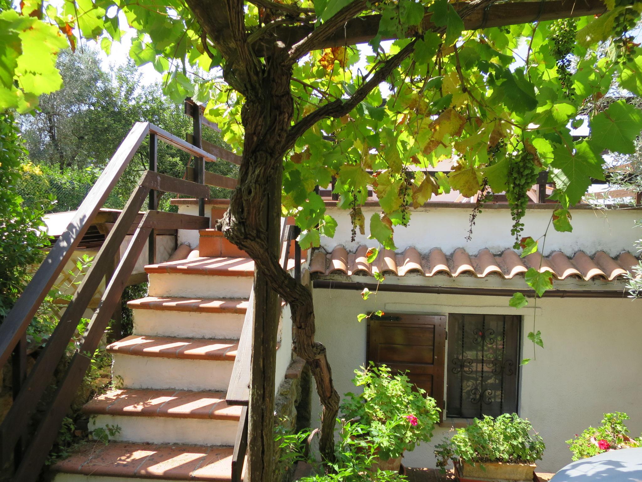 Foto 6 - Casa de 1 habitación en Montescudaio con jardín y vistas al mar