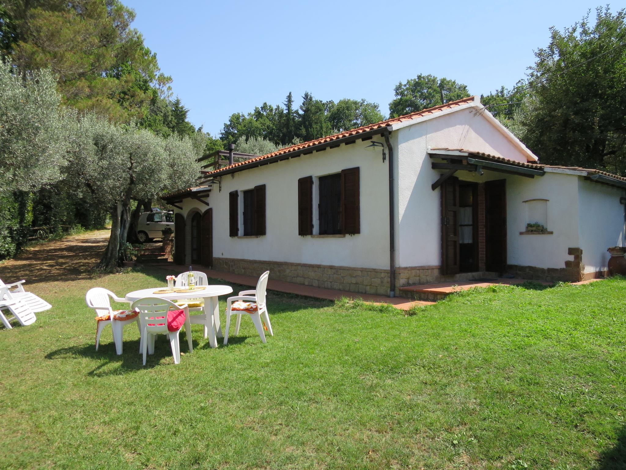 Photo 5 - Maison de 1 chambre à Montescudaio avec jardin et vues à la mer