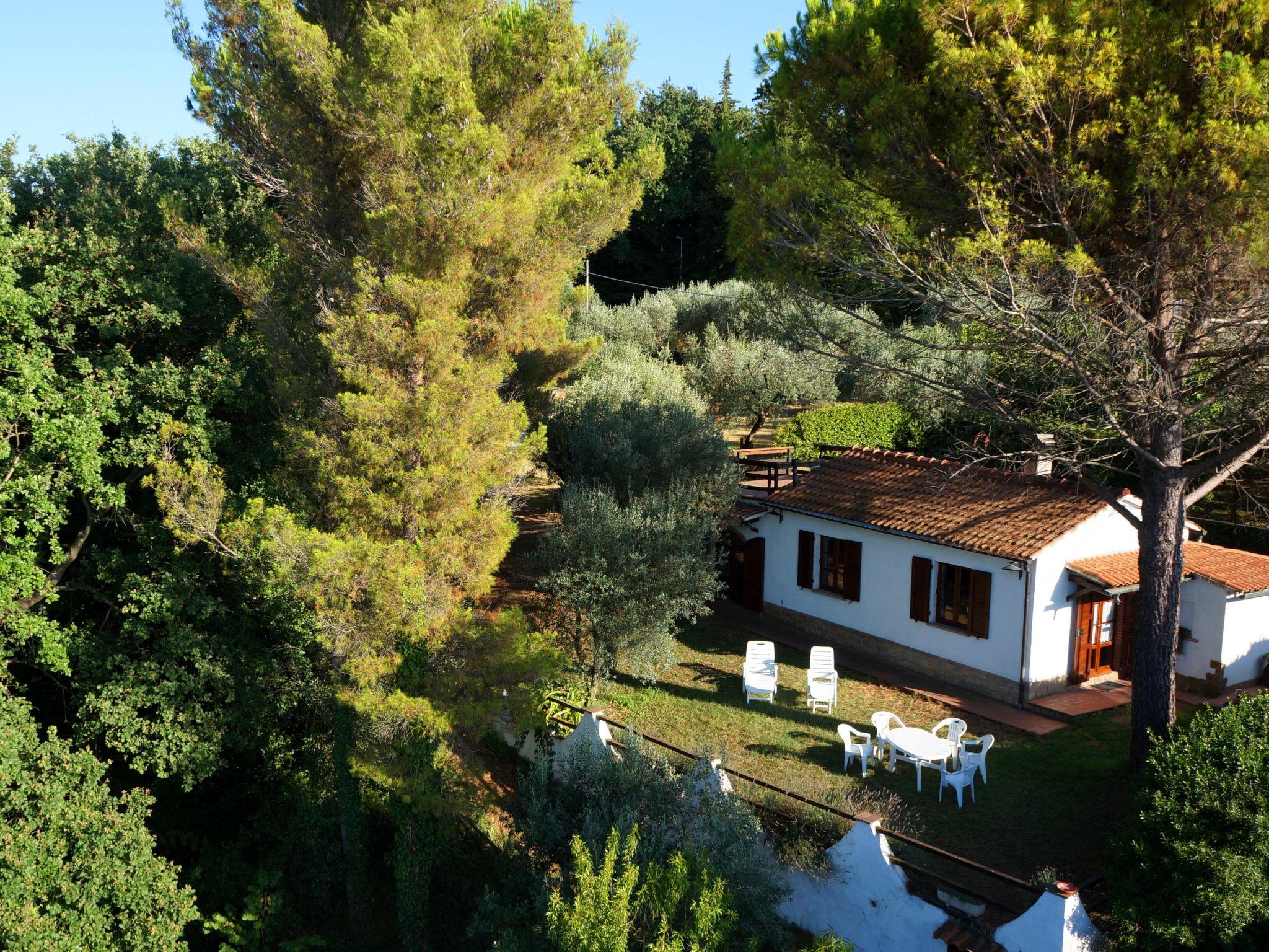 Photo 25 - Maison de 1 chambre à Montescudaio avec jardin et terrasse