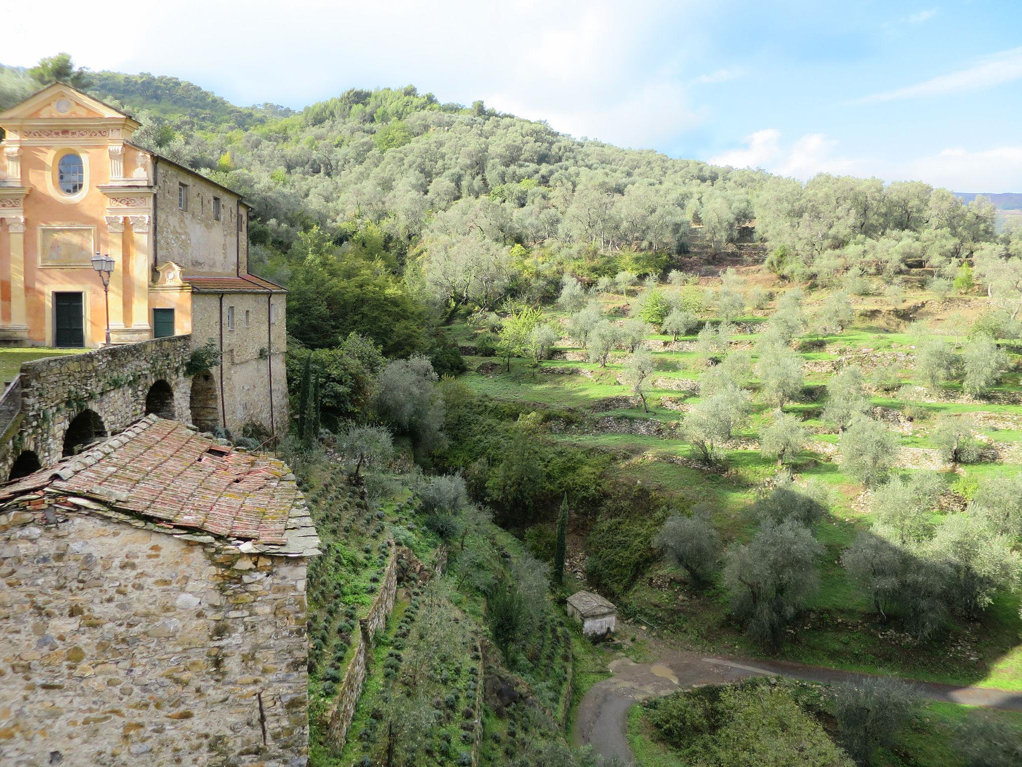 Foto 38 - Appartamento con 3 camere da letto a Pietrabruna con terrazza