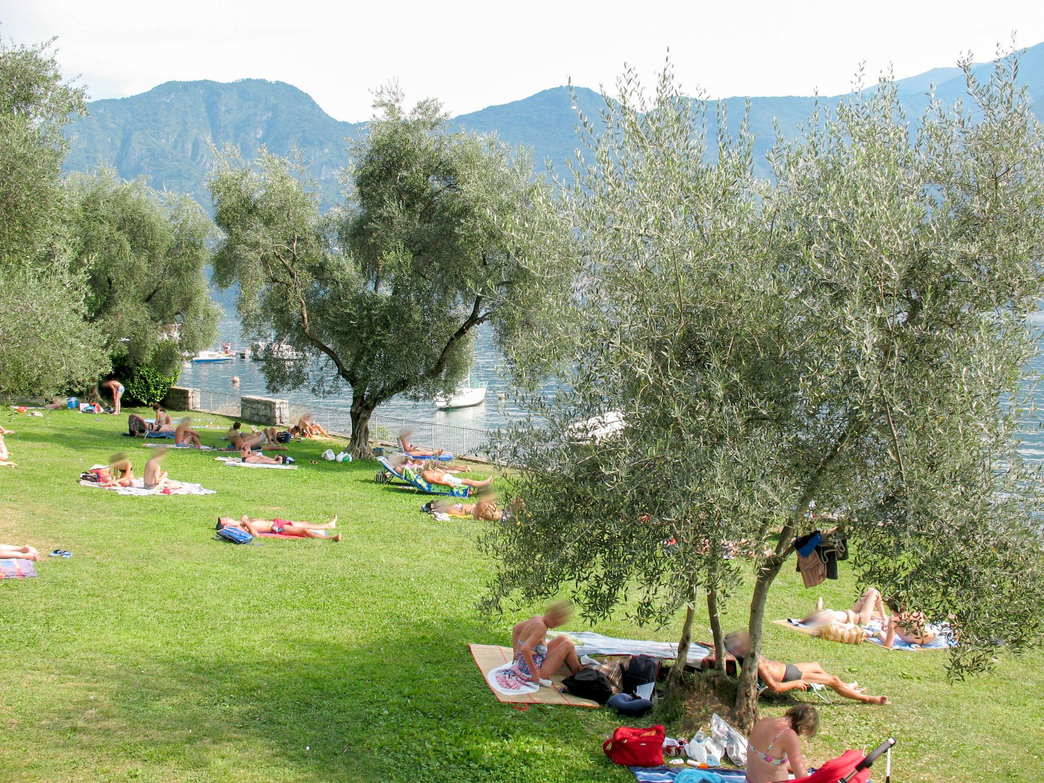 Foto 35 - Appartamento con 2 camere da letto a Tremezzina con piscina e vista sulle montagne