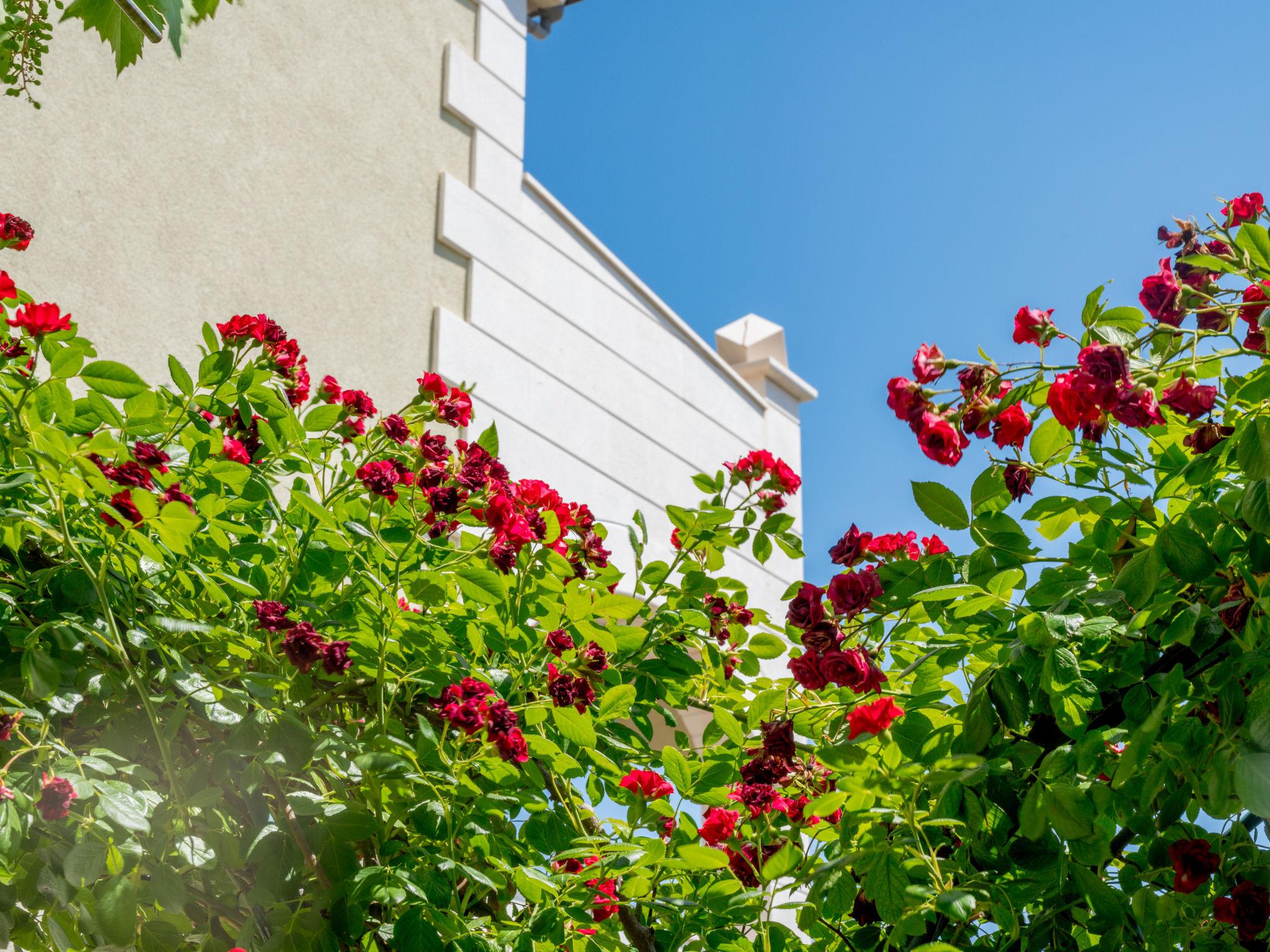 Photo 18 - Apartment in Okrug with swimming pool and garden