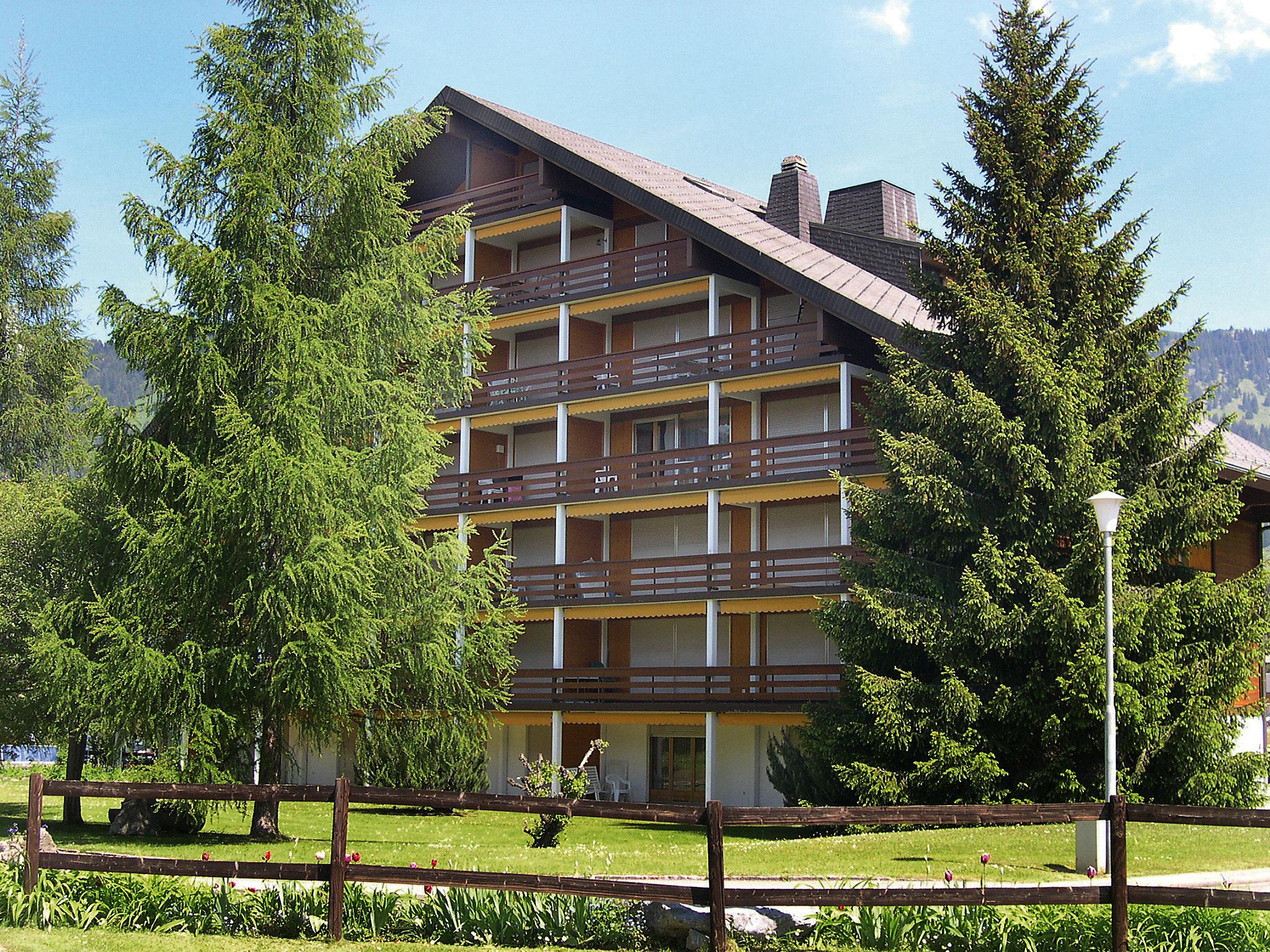 Photo 1 - Apartment in Ollon with garden and mountain view