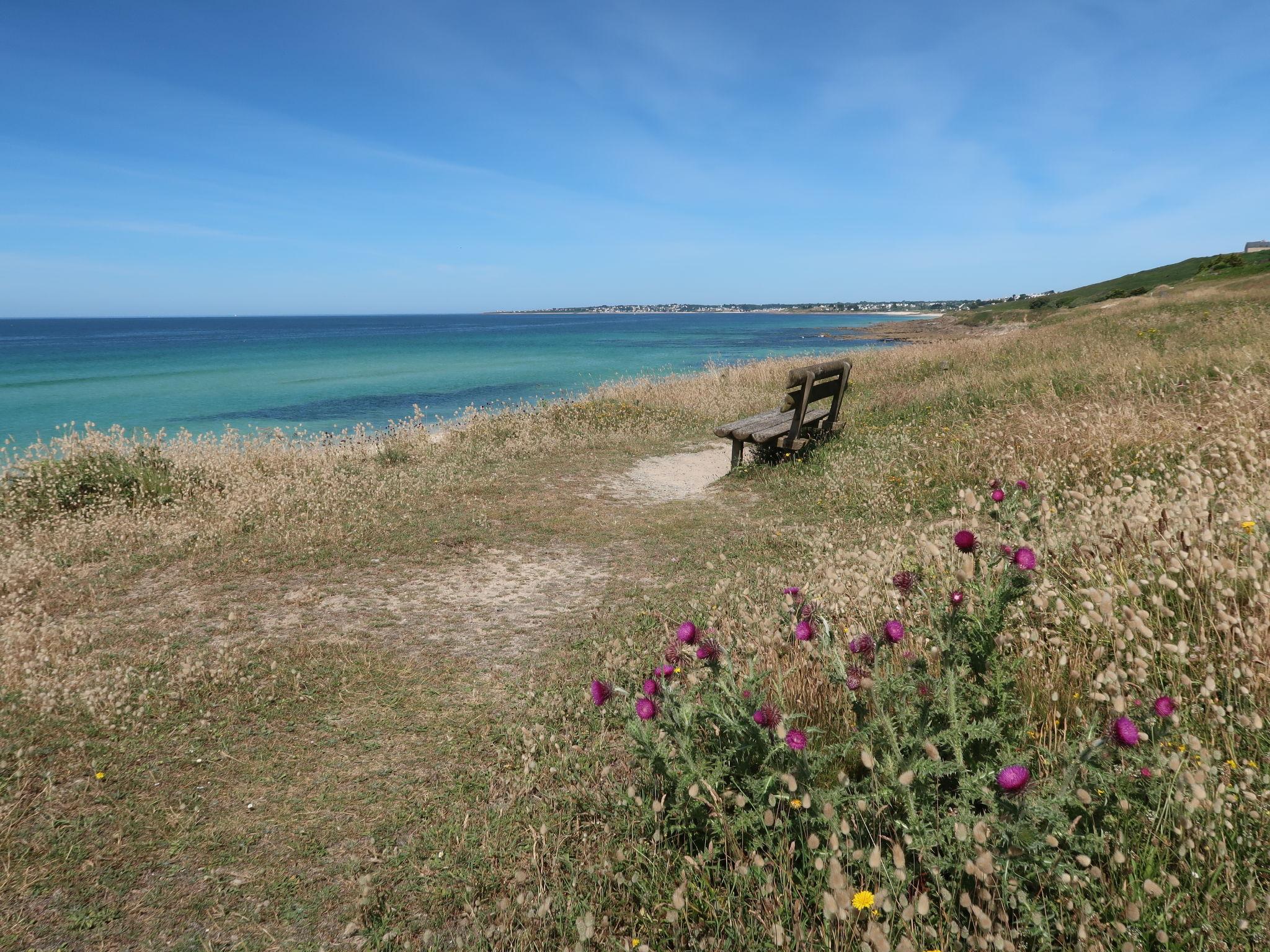 Photo 19 - Maison de 1 chambre à Plozévet avec jardin et vues à la mer