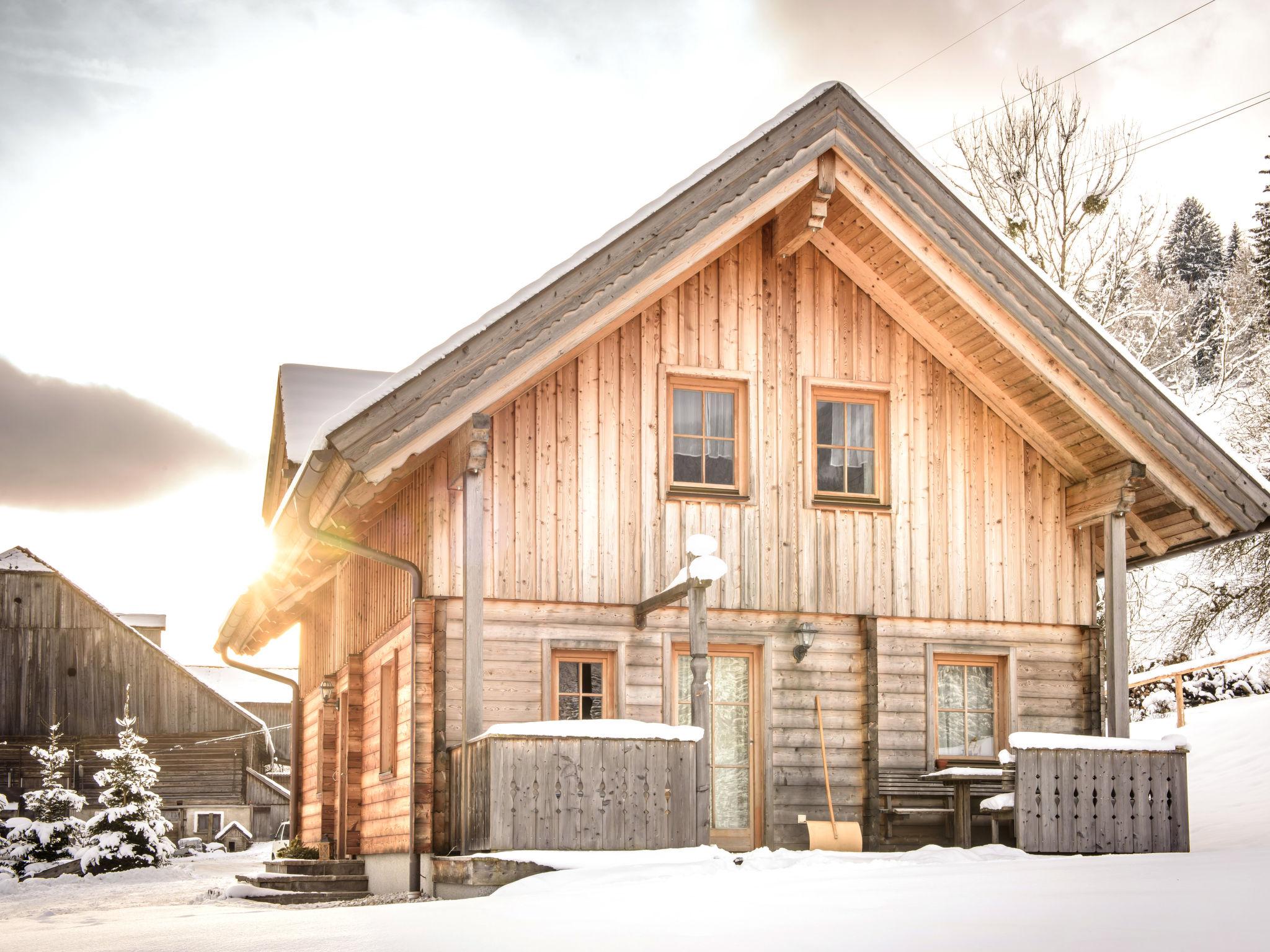 Foto 50 - Haus mit 4 Schlafzimmern in Mitterberg-Sankt Martin mit schwimmbad und garten