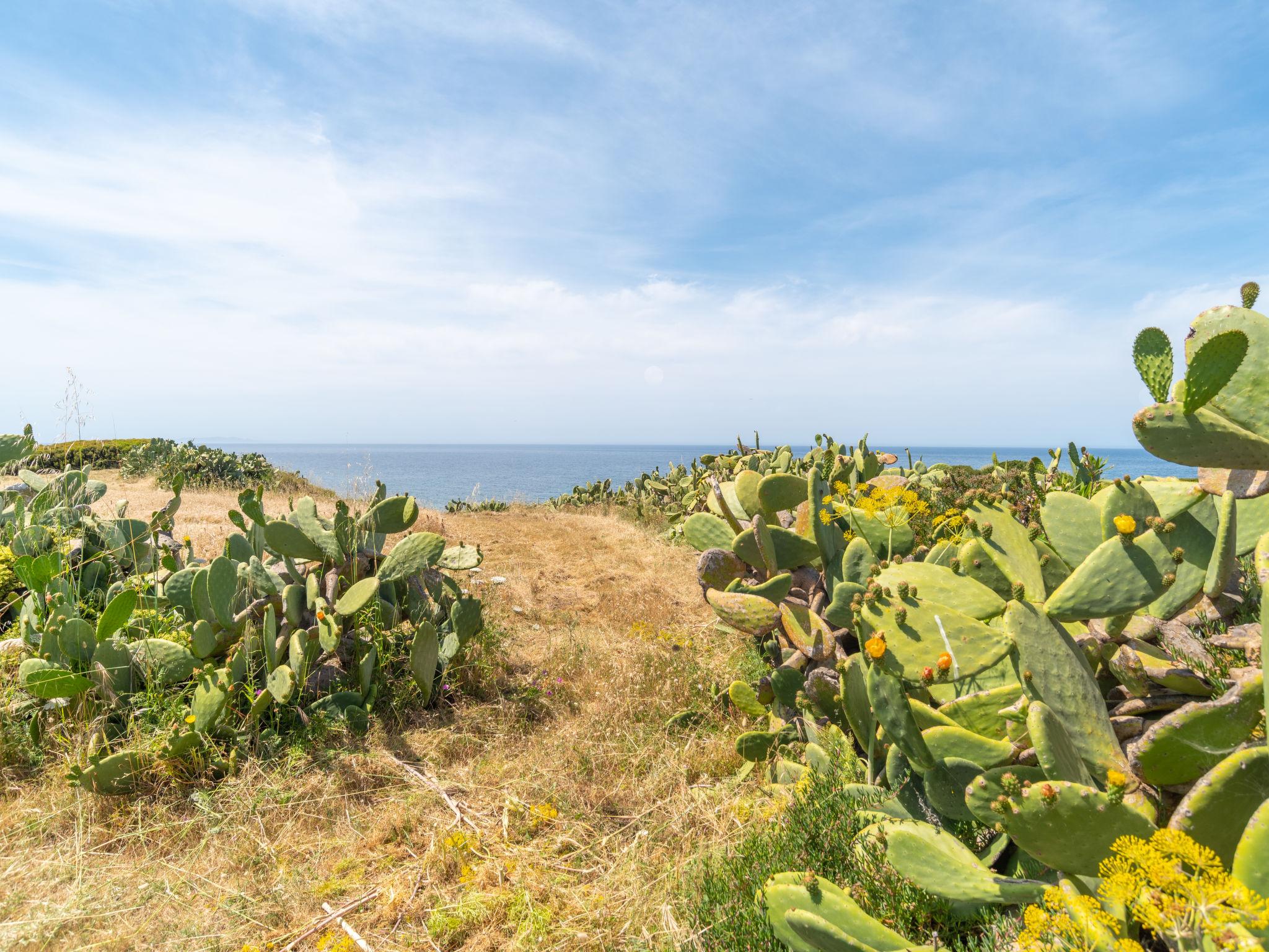 Photo 19 - 3 bedroom Apartment in Valledoria with garden and sea view