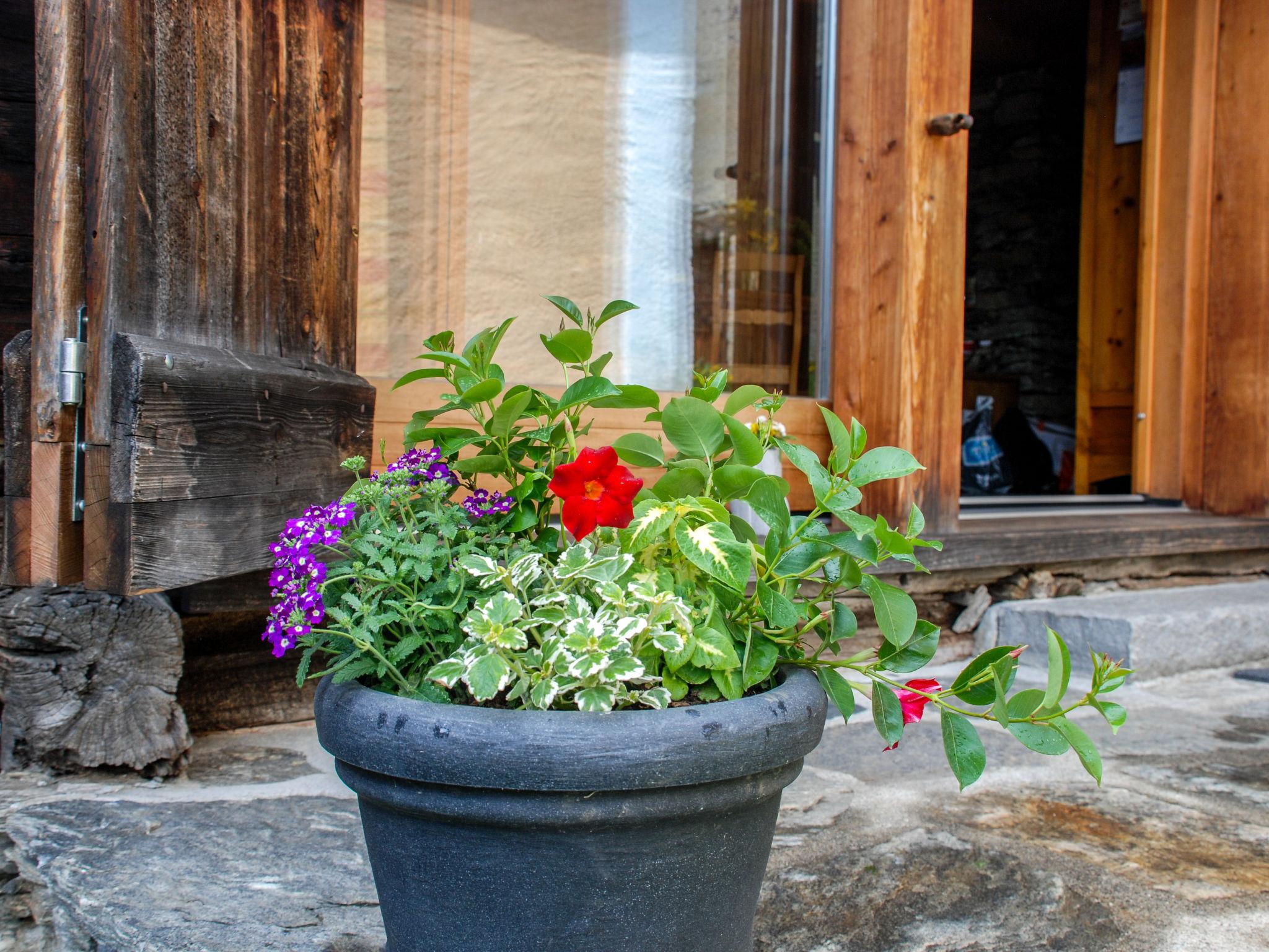 Photo 11 - Maison de 3 chambres à Serravalle avec jardin