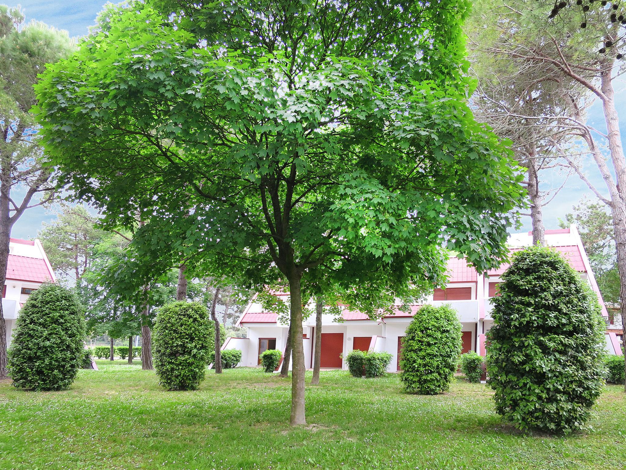 Foto 16 - Casa con 3 camere da letto a San Michele al Tagliamento con giardino e vista mare