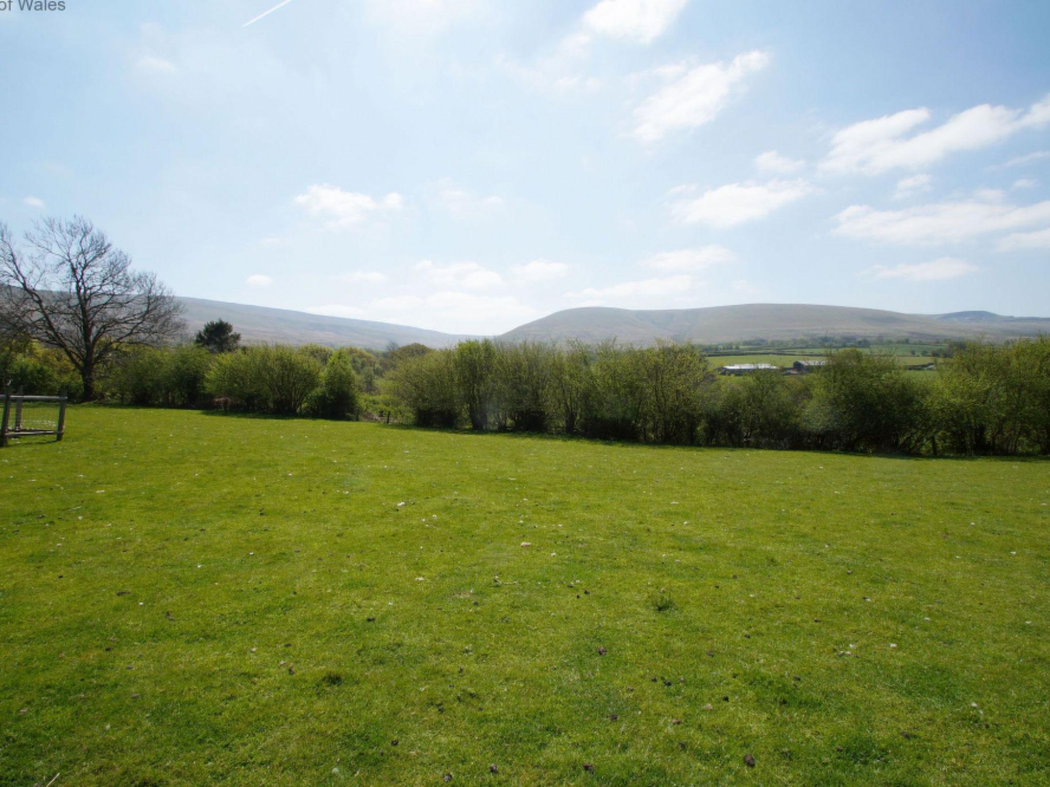 Photo 29 - 2 bedroom House in Llangadog with garden