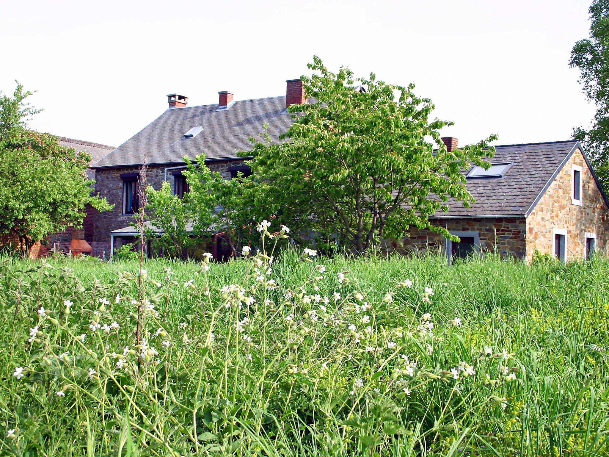 Foto 17 - Casa de 3 habitaciones en Houyet con jardín