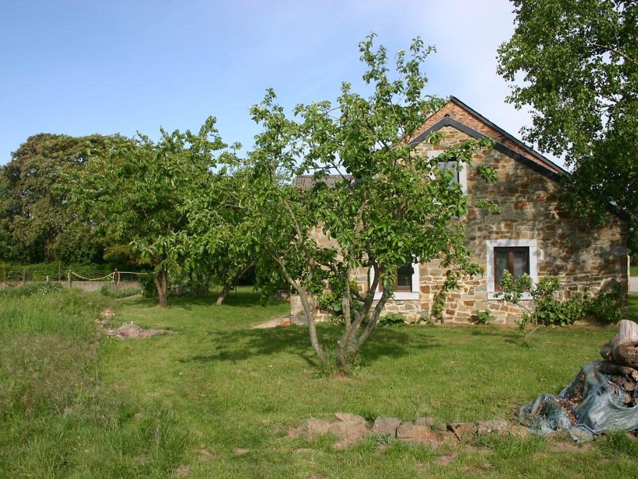 Photo 18 - Maison de 3 chambres à Houyet avec jardin