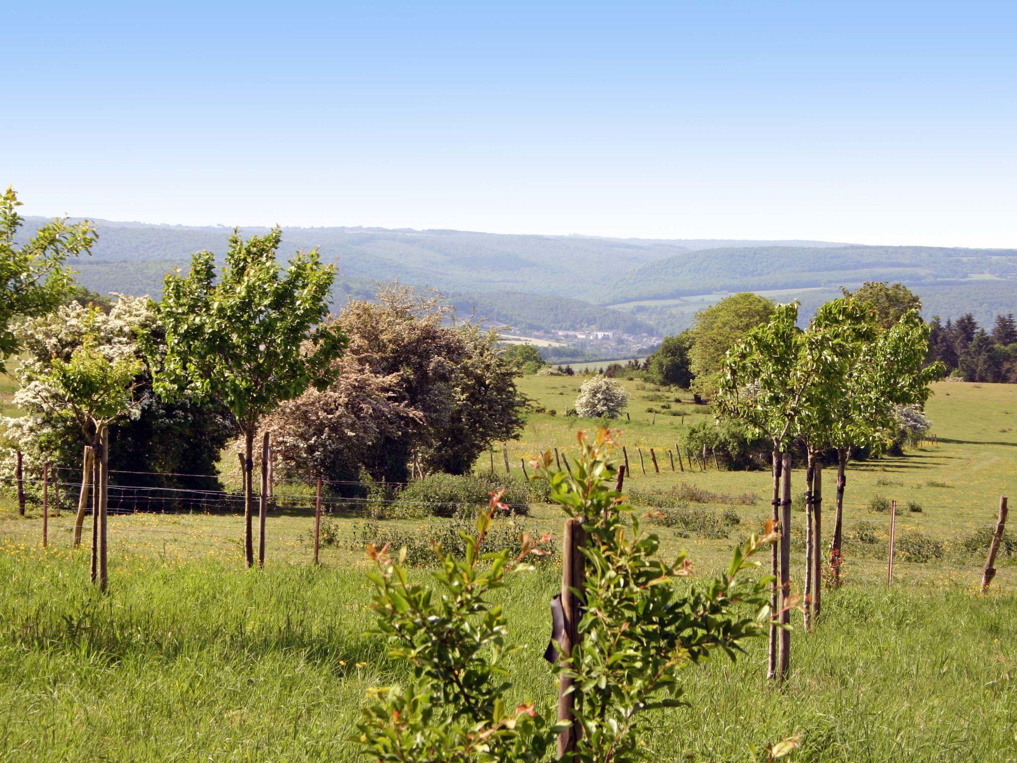 Foto 5 - Haus mit 3 Schlafzimmern in Houyet mit garten