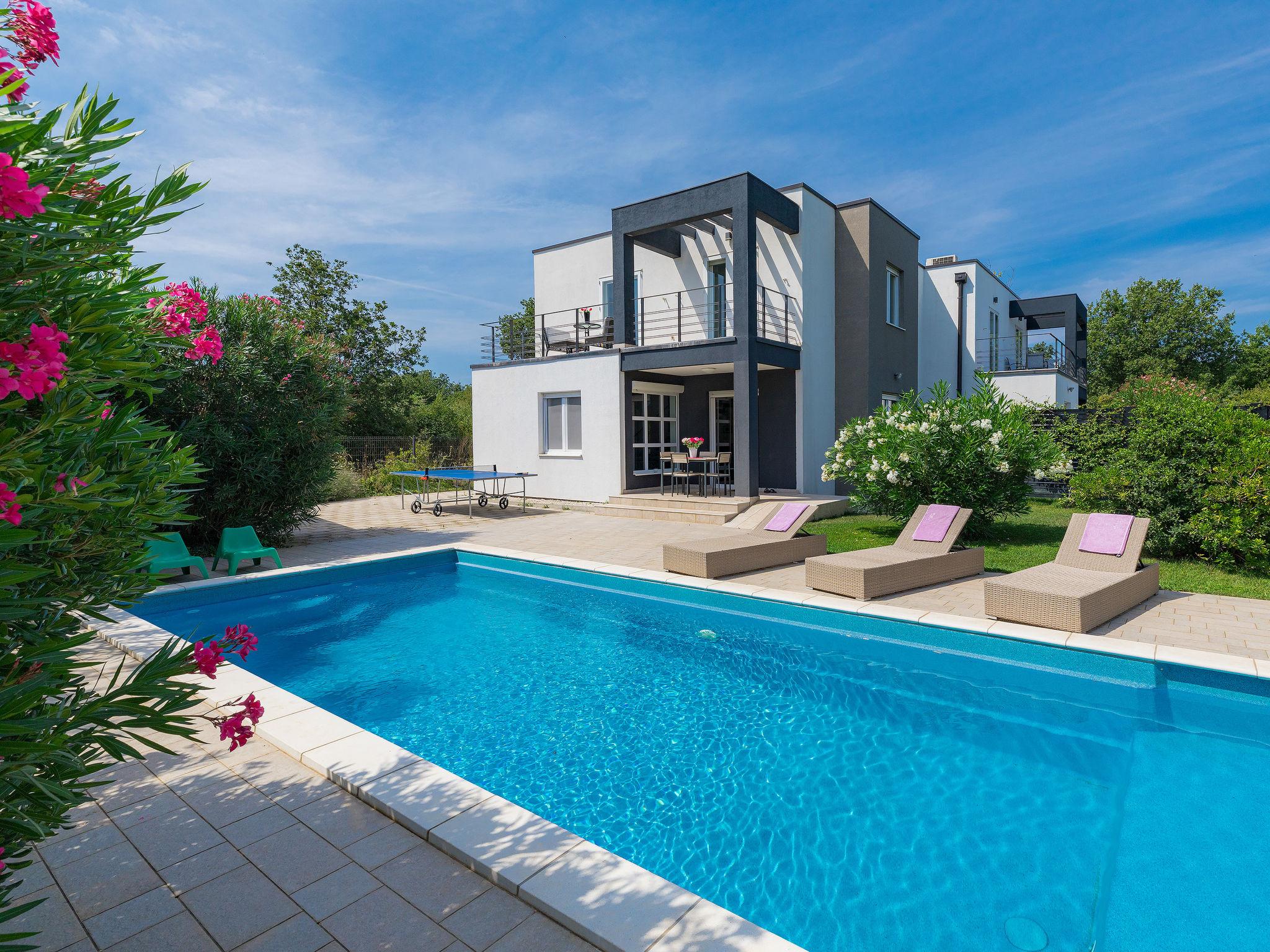 Foto 6 - Casa de 3 quartos em Ližnjan com piscina privada e vistas do mar