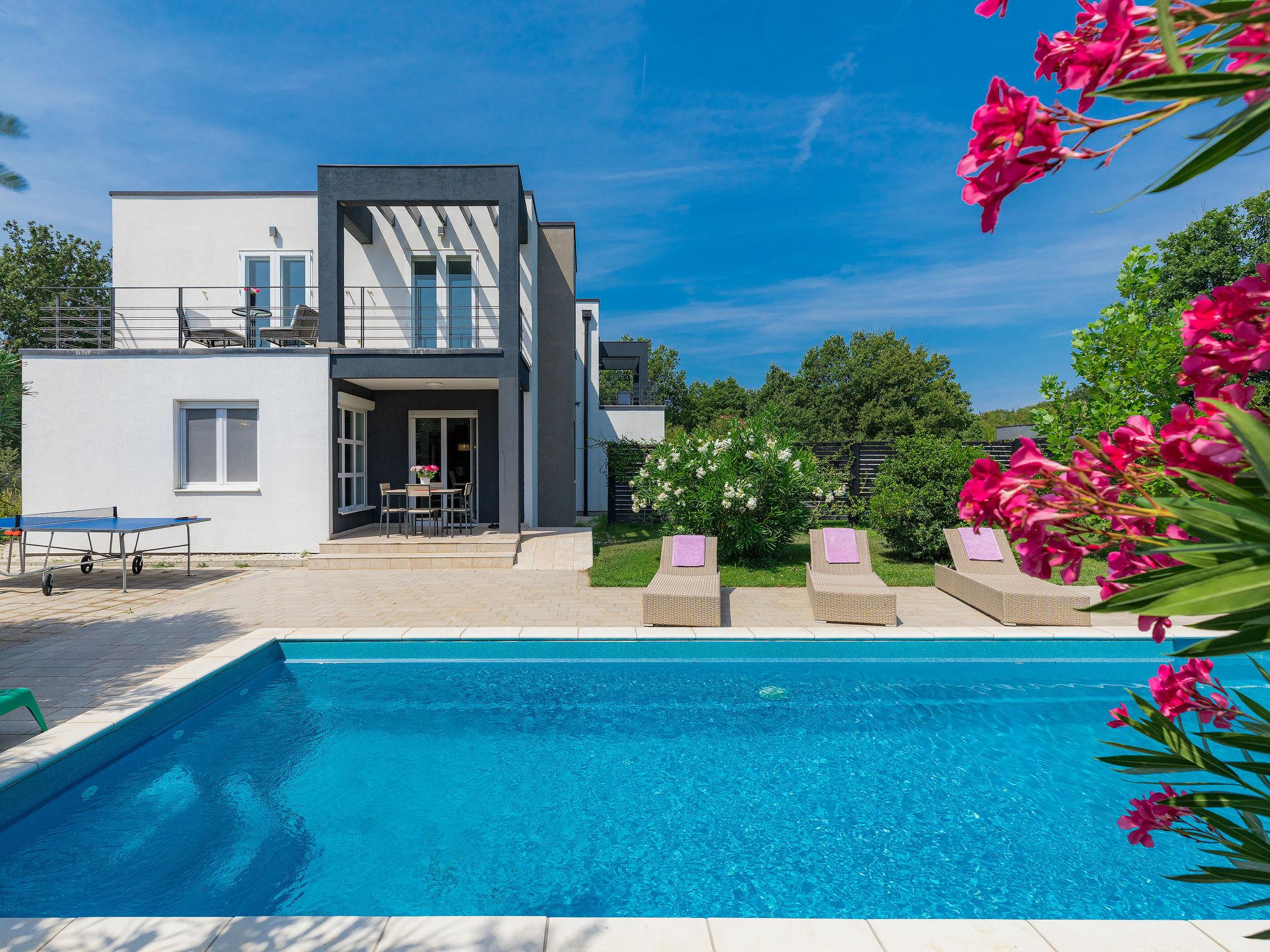 Photo 1 - Maison de 3 chambres à Ližnjan avec piscine privée et jardin