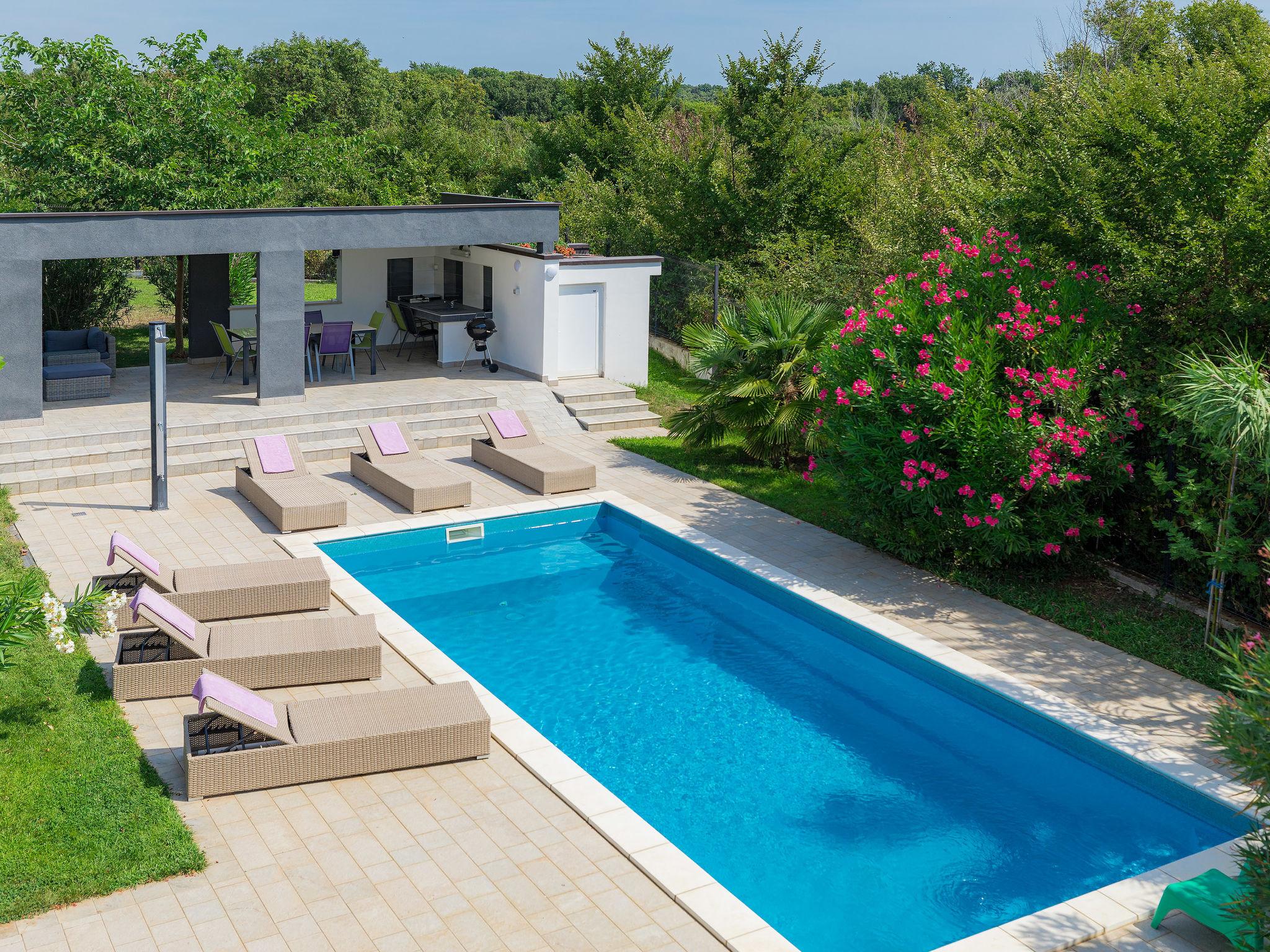 Foto 32 - Casa de 3 quartos em Ližnjan com piscina privada e vistas do mar