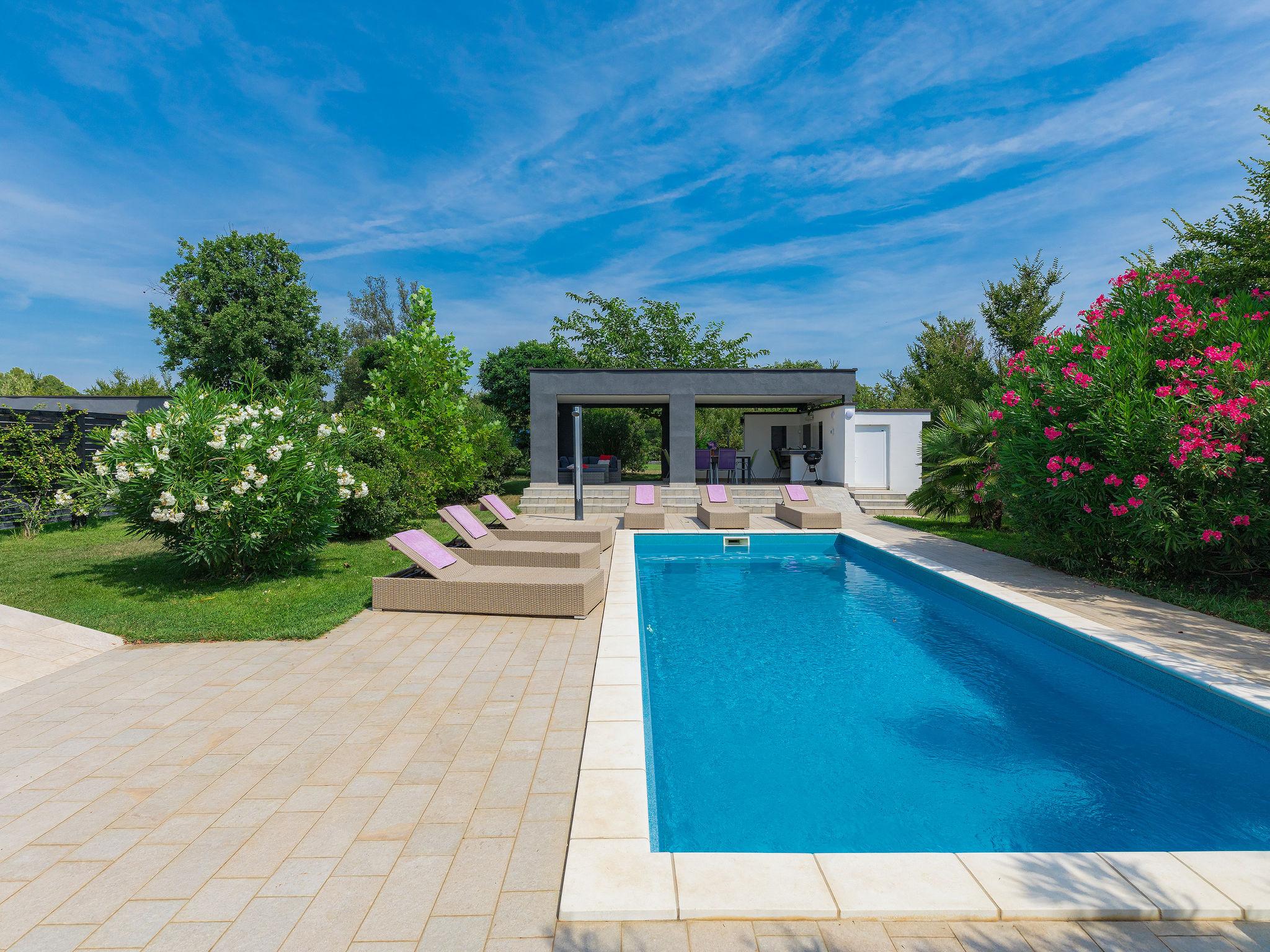 Photo 22 - Maison de 3 chambres à Ližnjan avec piscine privée et jardin