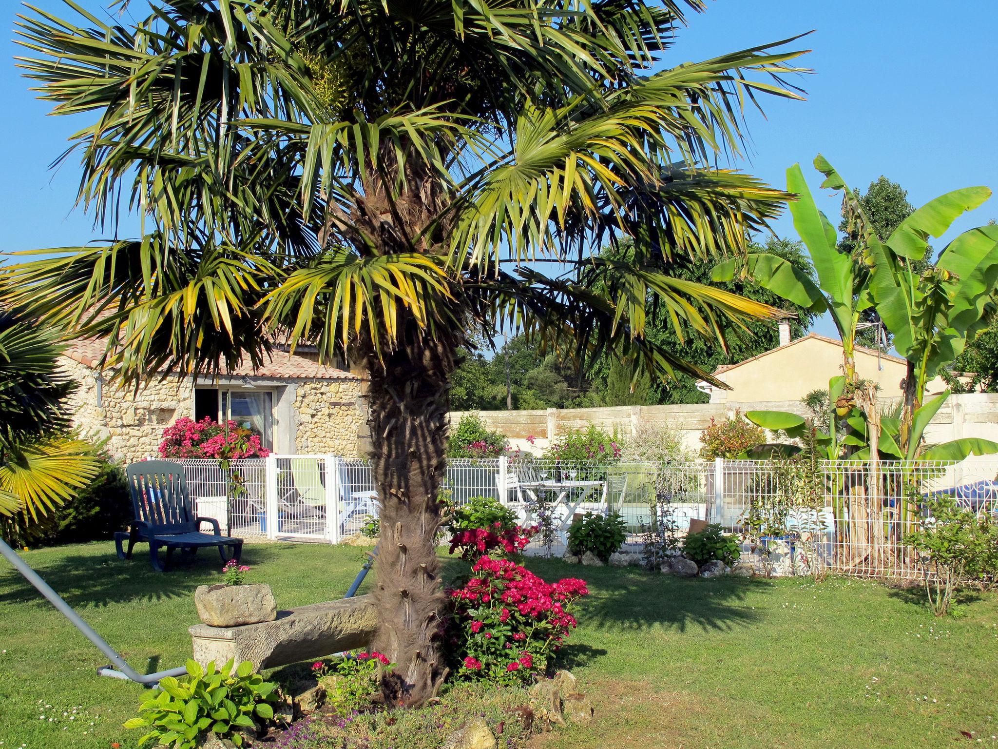 Photo 27 - Maison de 3 chambres à Cissac-Médoc avec piscine et jardin