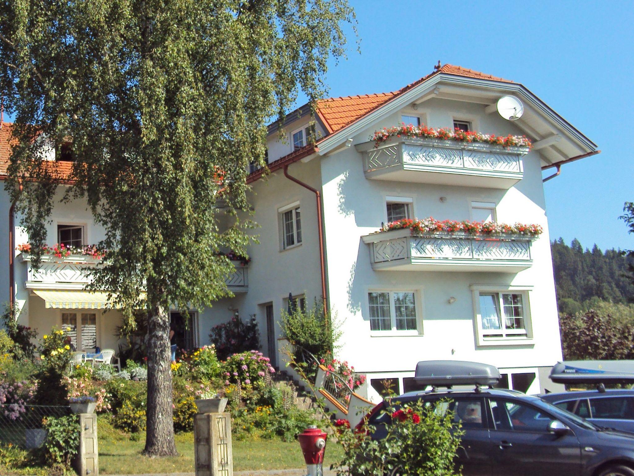 Foto 11 - Apartamento de 2 quartos em Feldkirchen in Kärnten com piscina e vista para a montanha