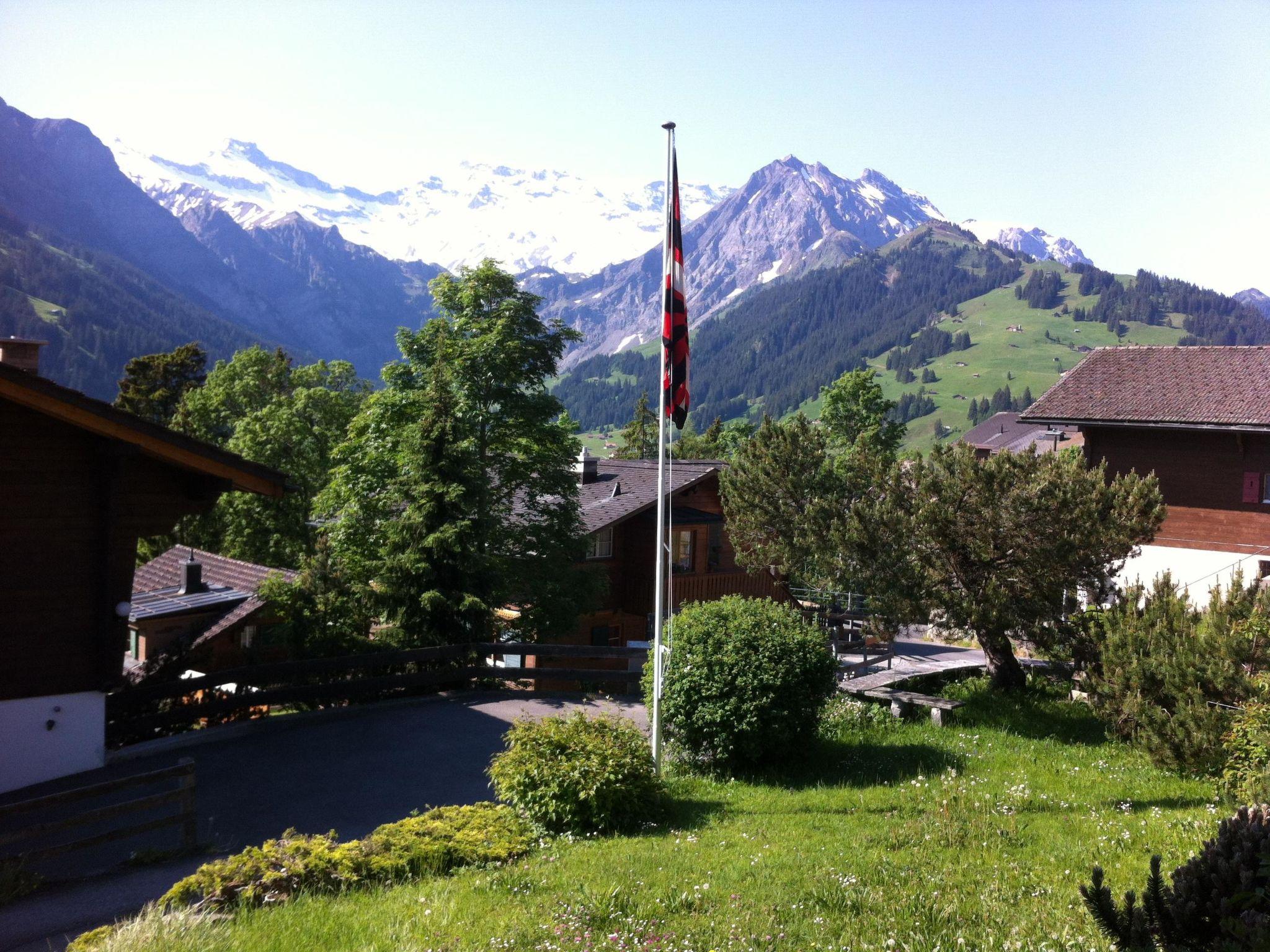 Foto 5 - Appartamento con 3 camere da letto a Adelboden con giardino