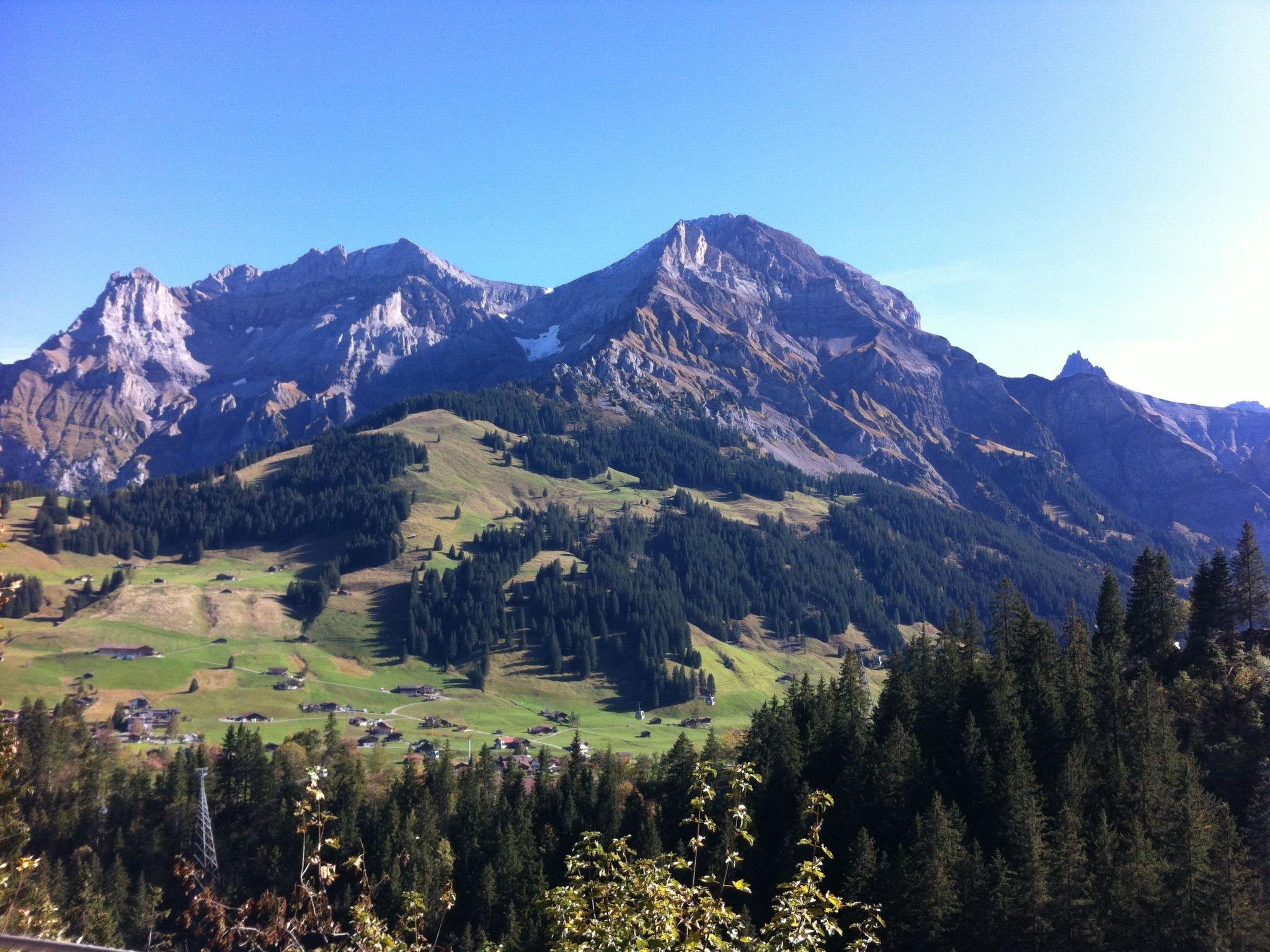 Photo 6 - Appartement de 3 chambres à Adelboden avec jardin