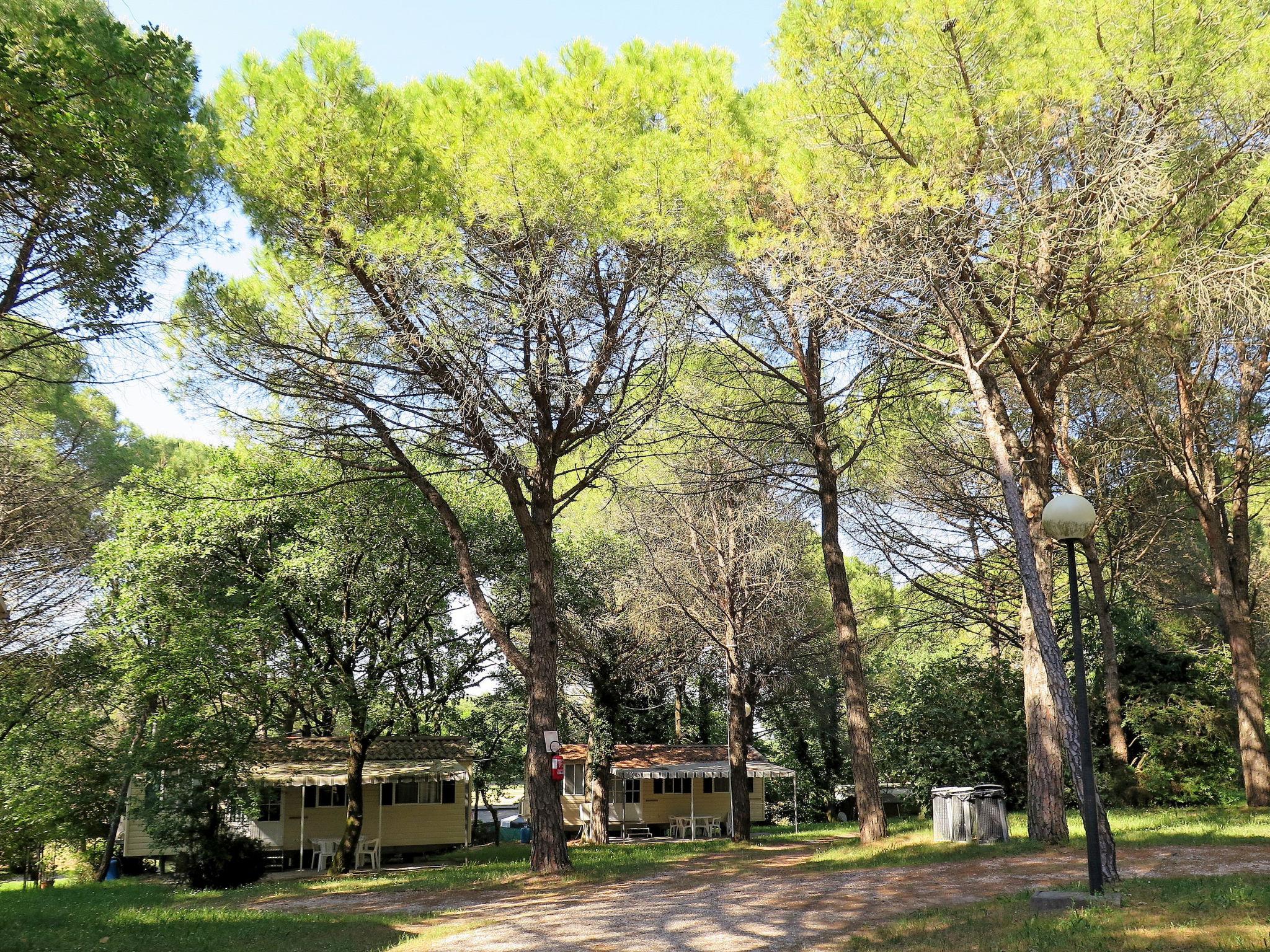 Photo 22 - Maison de 2 chambres à Aquilée avec piscine et jardin