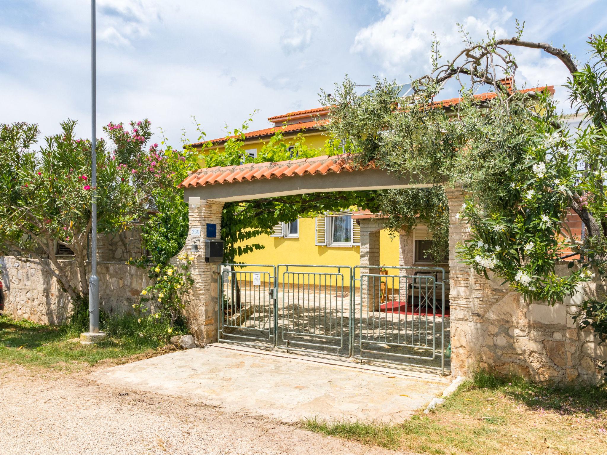 Foto 8 - Appartamento con 2 camere da letto a Vodnjan con piscina privata e giardino