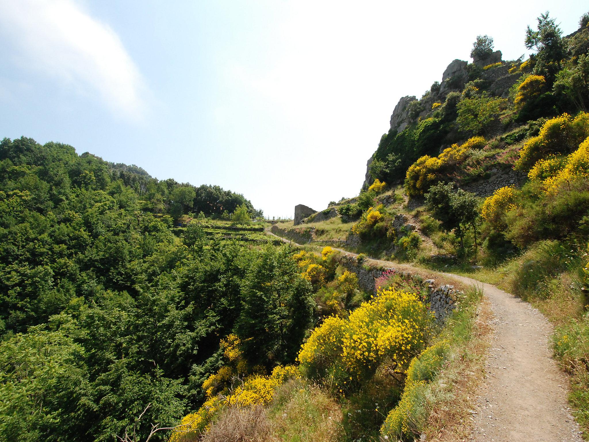 Photo 20 - 2 bedroom House in Agerola with private pool and sea view