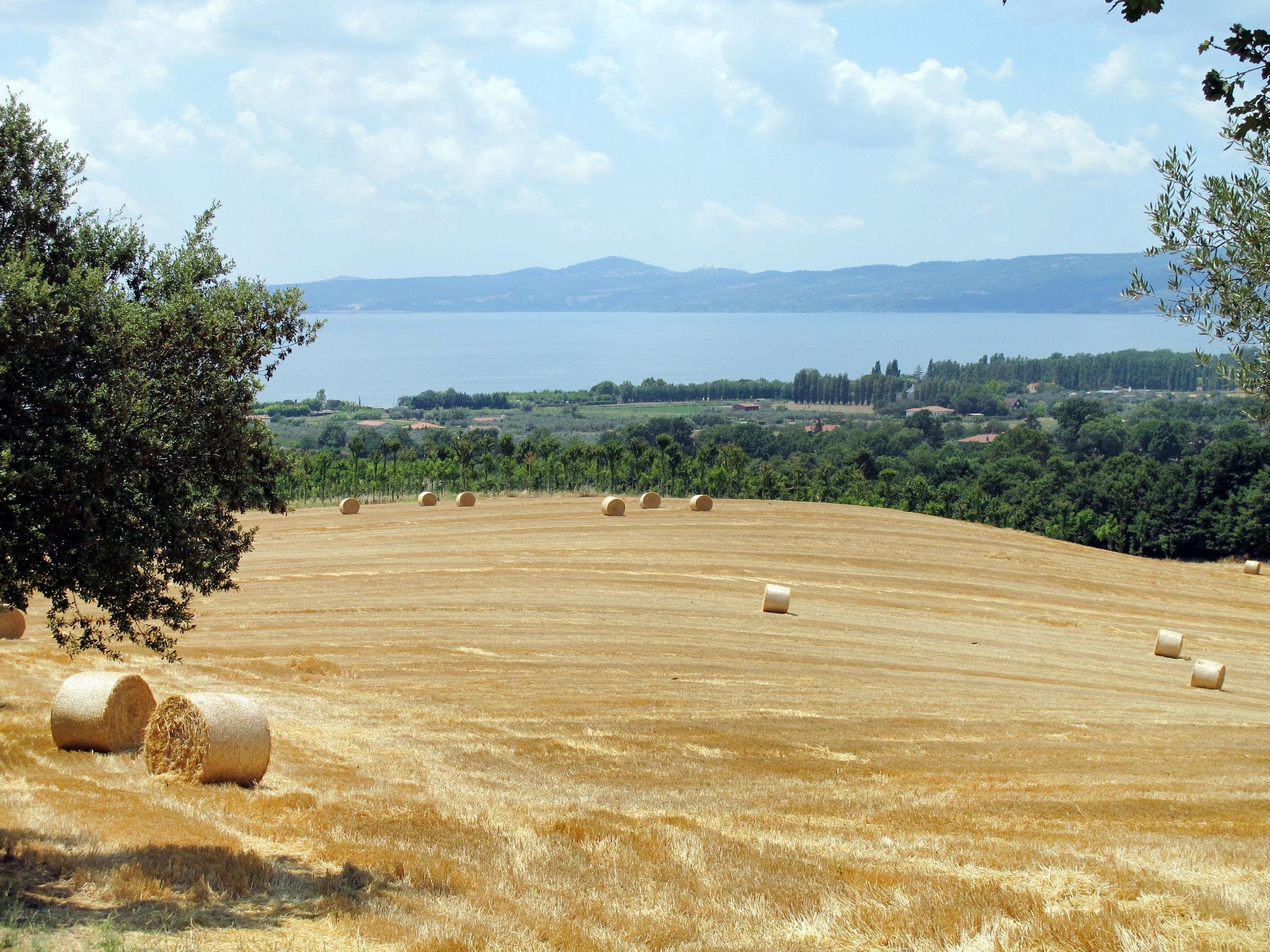 Foto 29 - Appartamento con 2 camere da letto a Bolsena con piscina e giardino