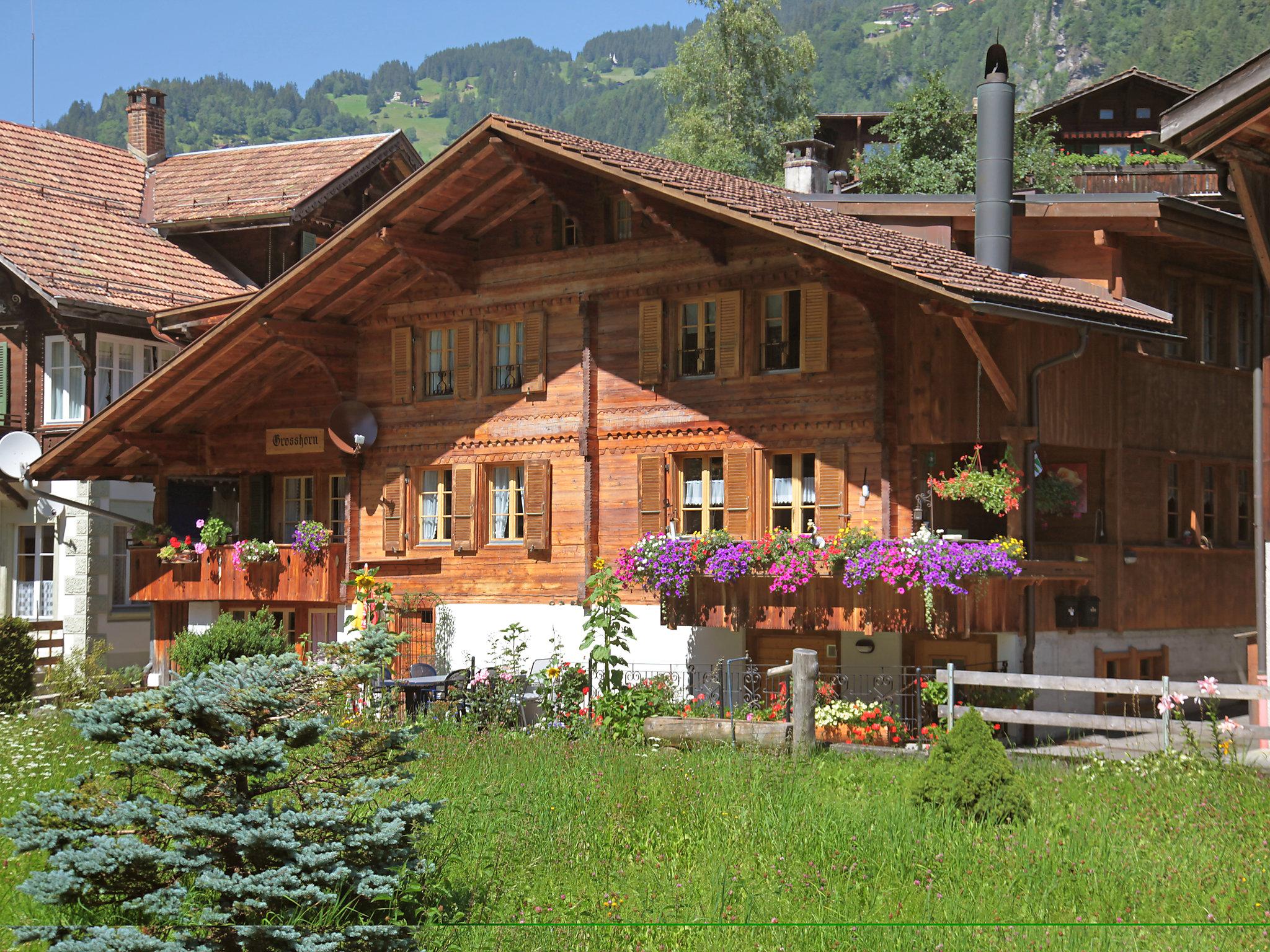 Photo 1 - Appartement de 2 chambres à Lauterbrunnen avec vues sur la montagne