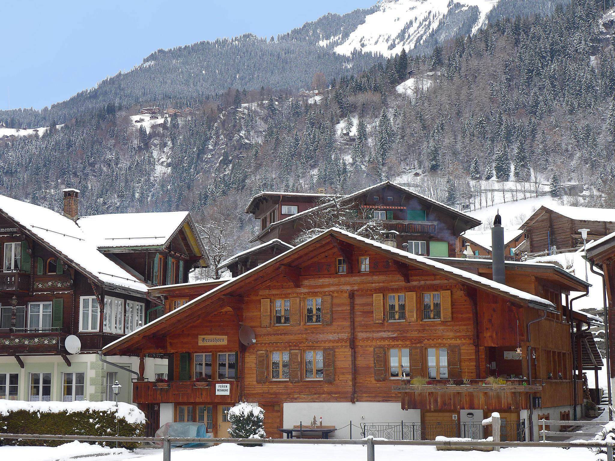 Photo 19 - Appartement de 2 chambres à Lauterbrunnen avec vues sur la montagne