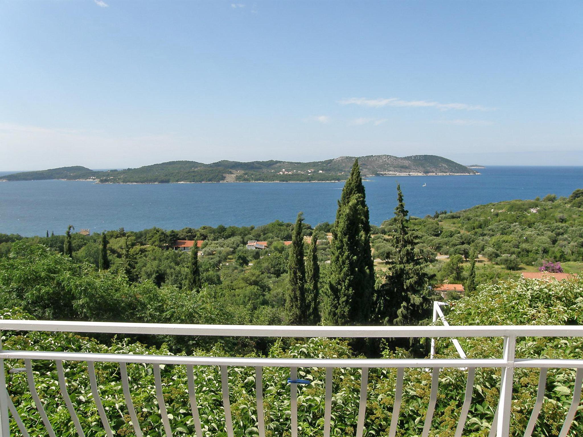 Foto 9 - Apartamento de 2 habitaciones en Dubrovnik con piscina y vistas al mar