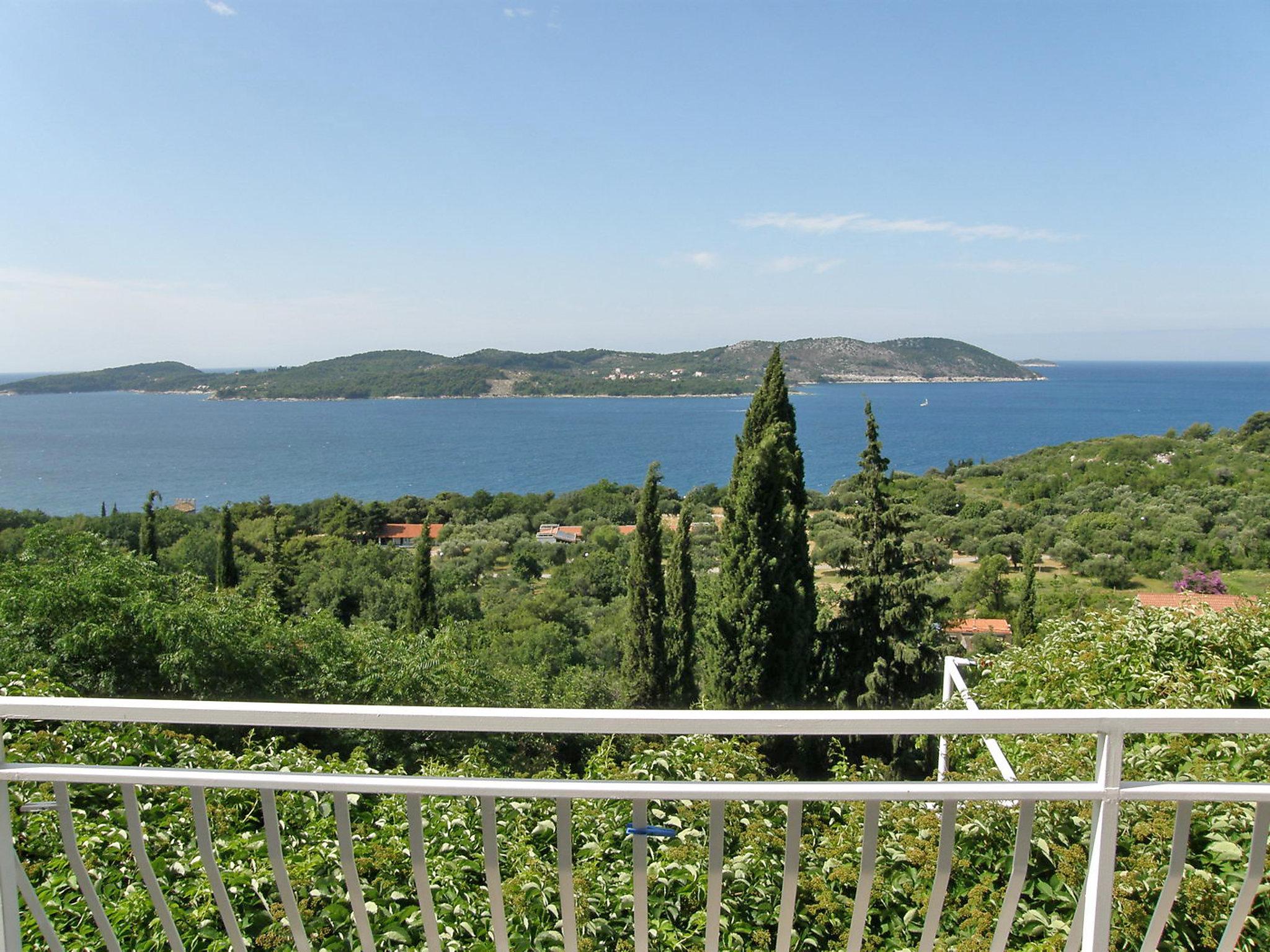 Photo 7 - Appartement de 2 chambres à Dubrovnik avec piscine et jardin